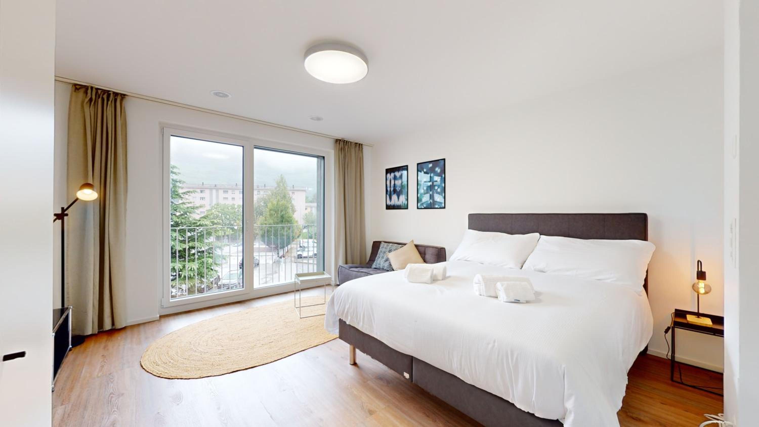 Bright & modern apartments in Sion