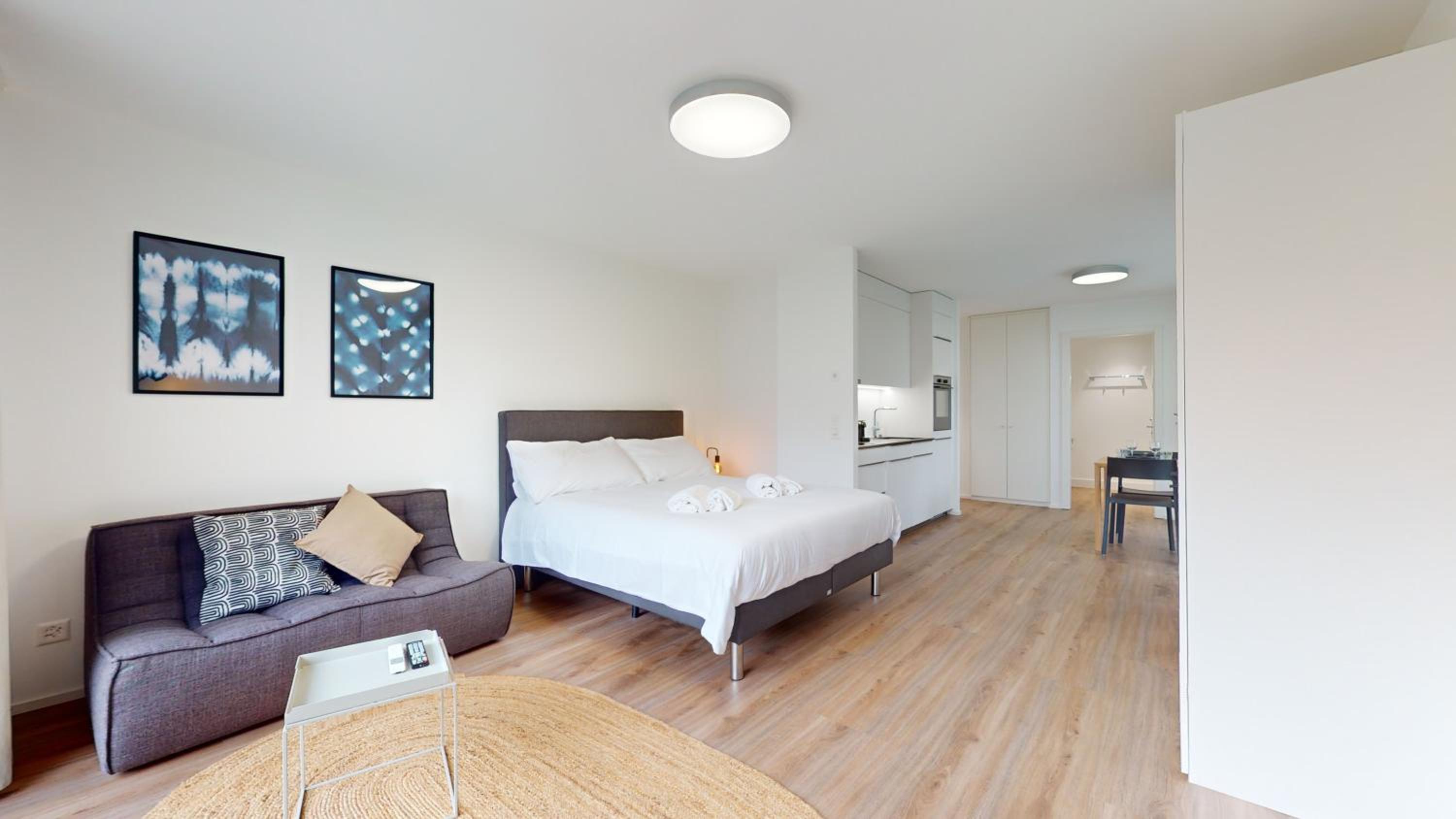 Bright & modern apartments in Sion