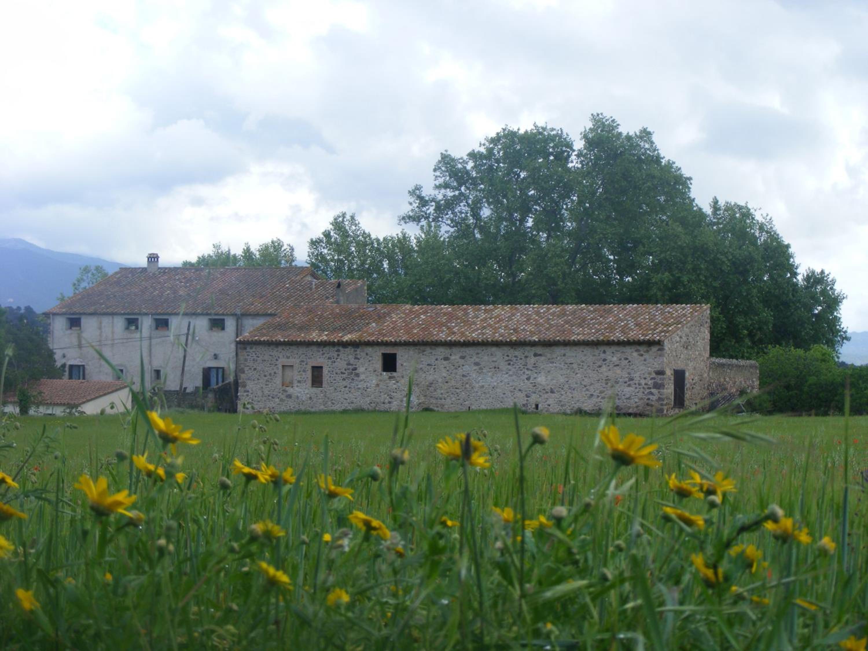 Photo 34