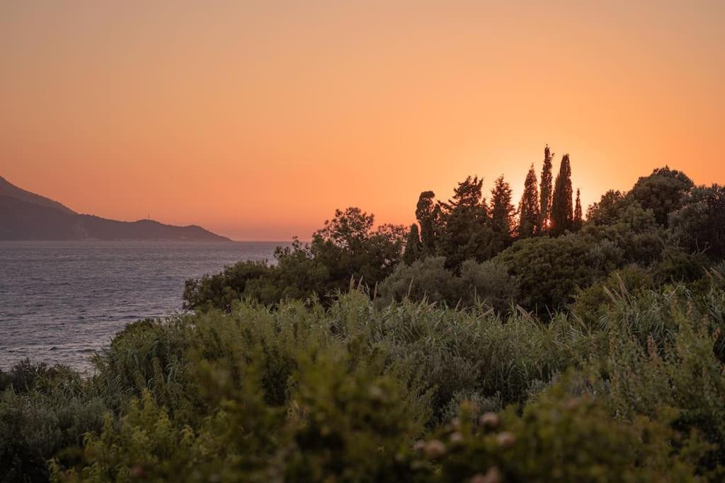 Villa Actaea