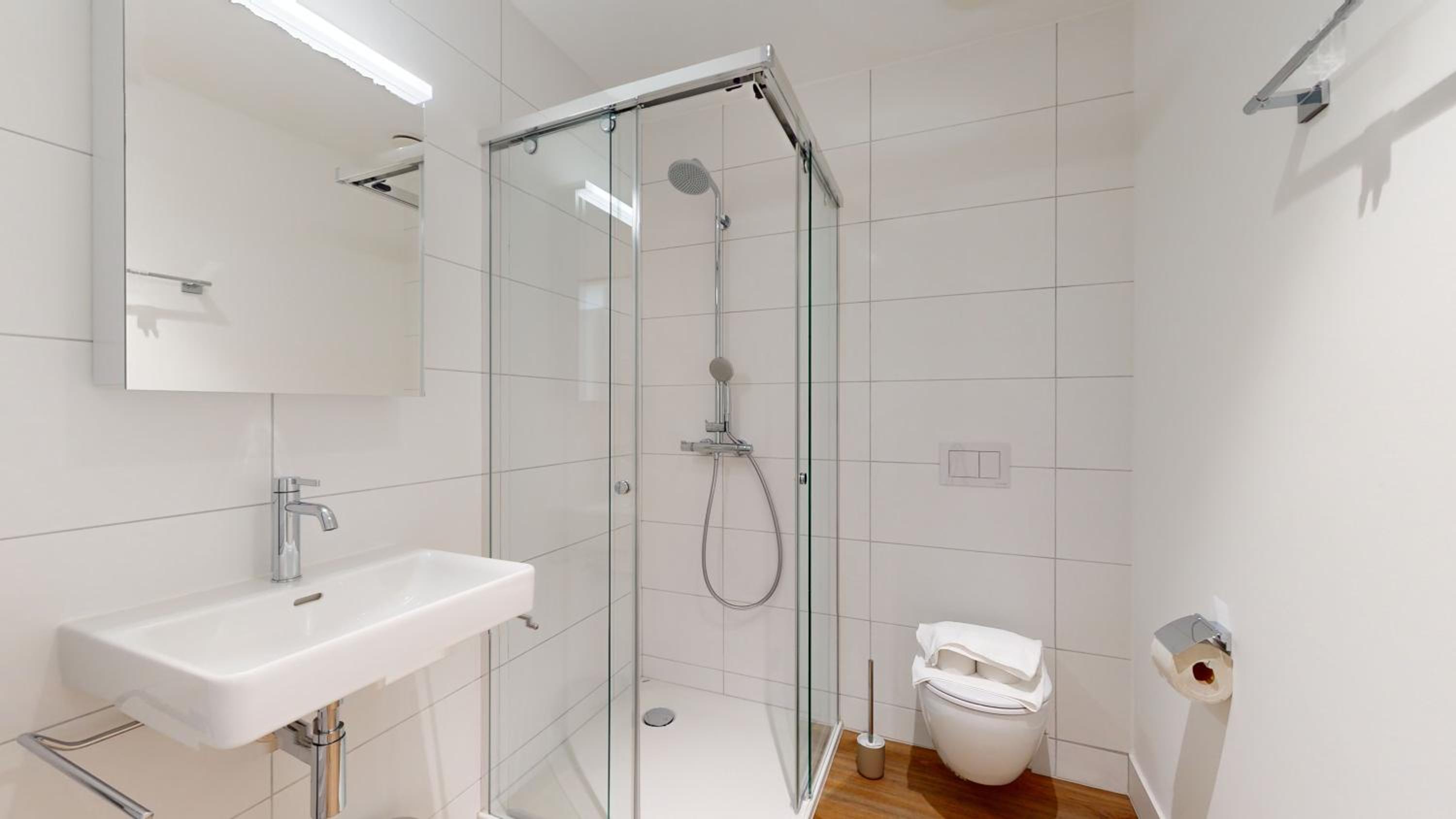 Bright & modern apartments in Sion