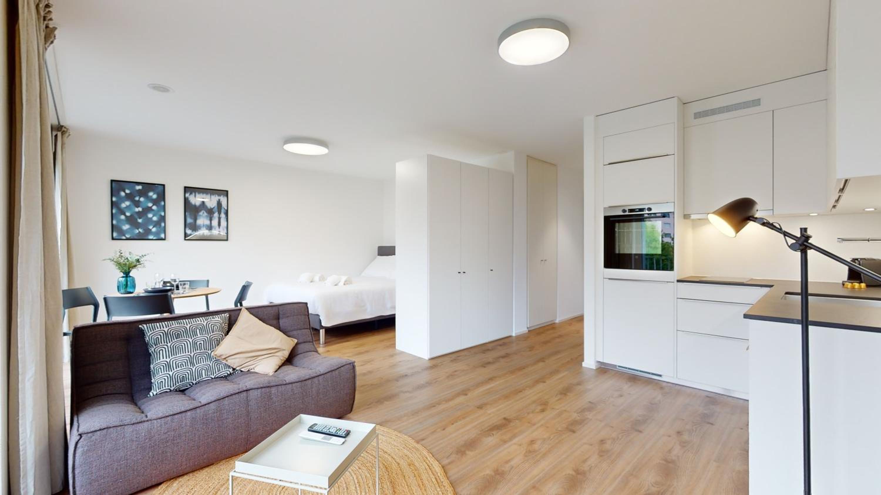 Bright & modern apartments in Sion