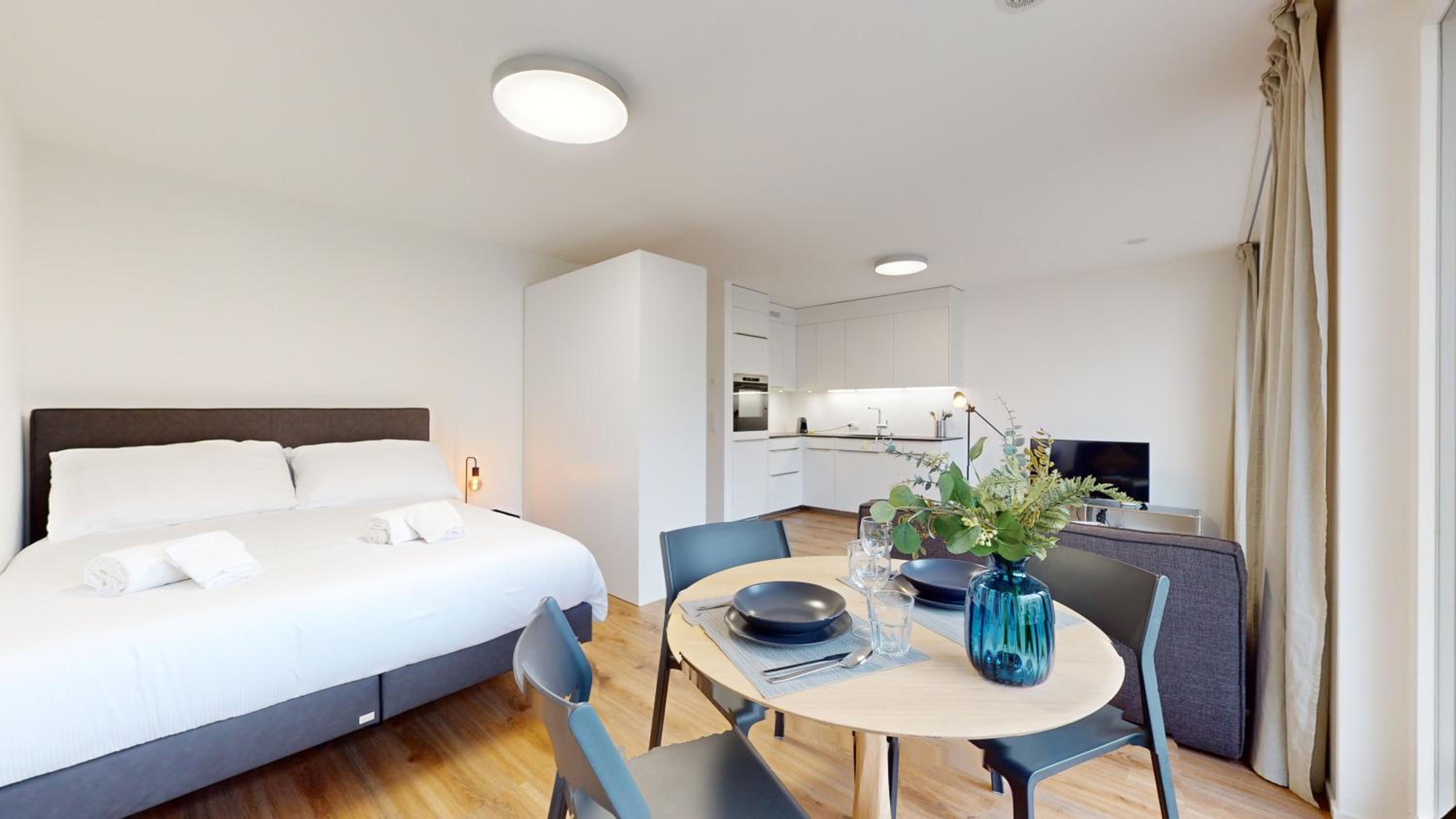 Bright & modern apartments in Sion