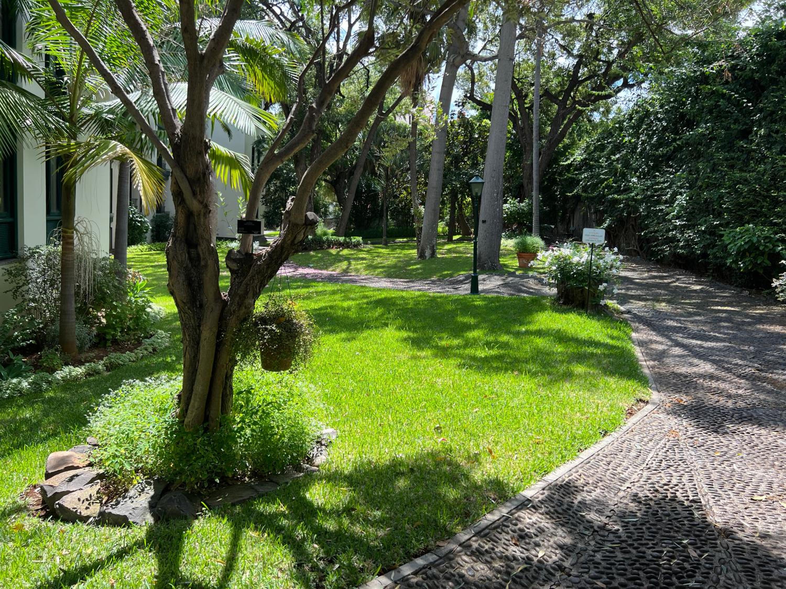 Luxury Oceanfront at Reid's Gardens view 5