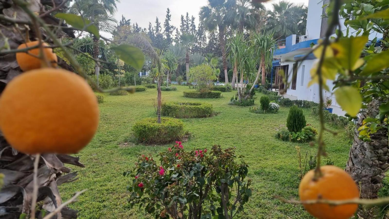 Luxieuse villa