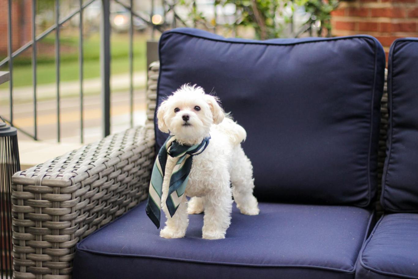 Oxford Vacations - The Oliver, Oxford - Property Image 10