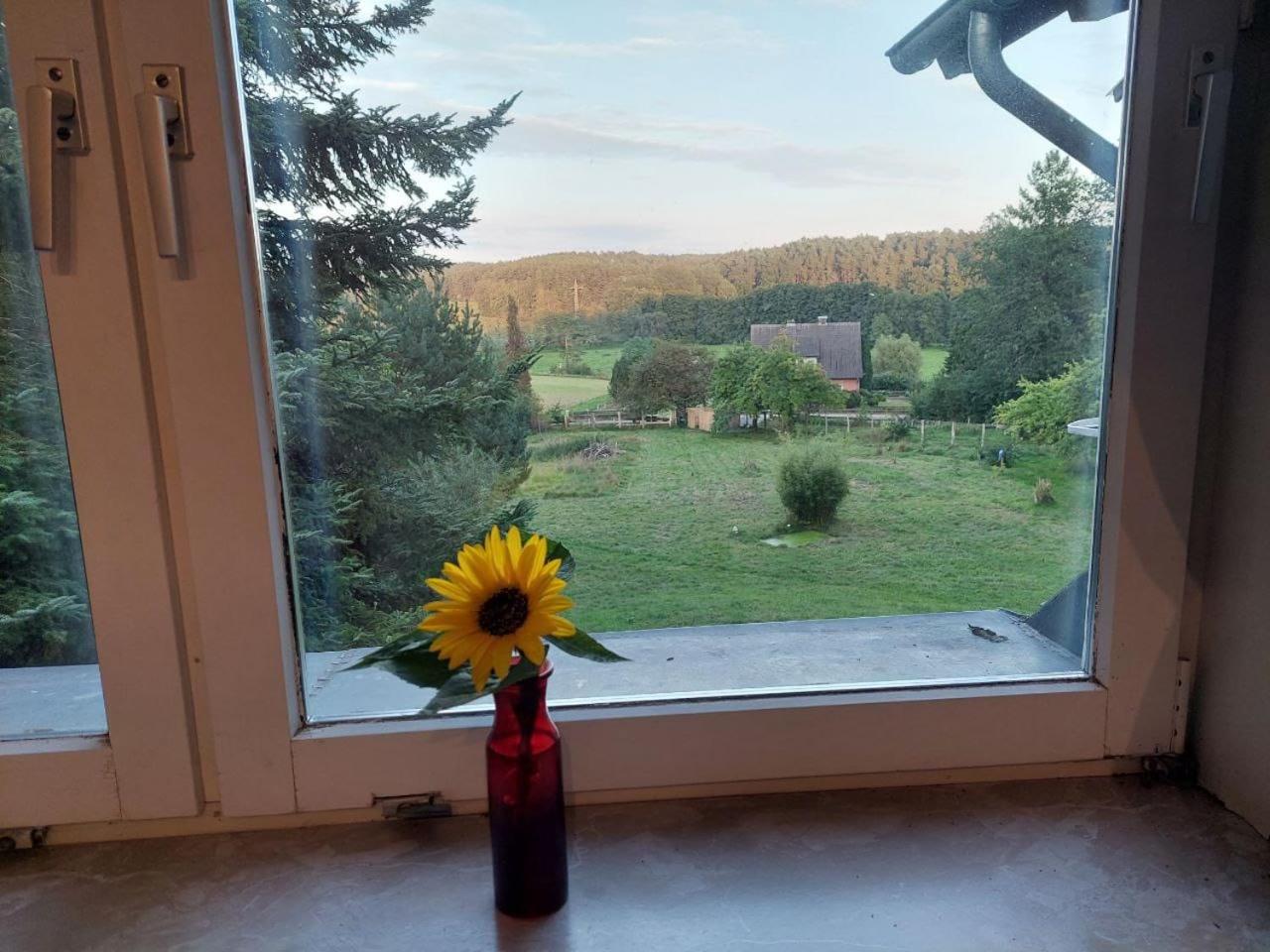 Ferienappartement im Waldhaus Göhrde