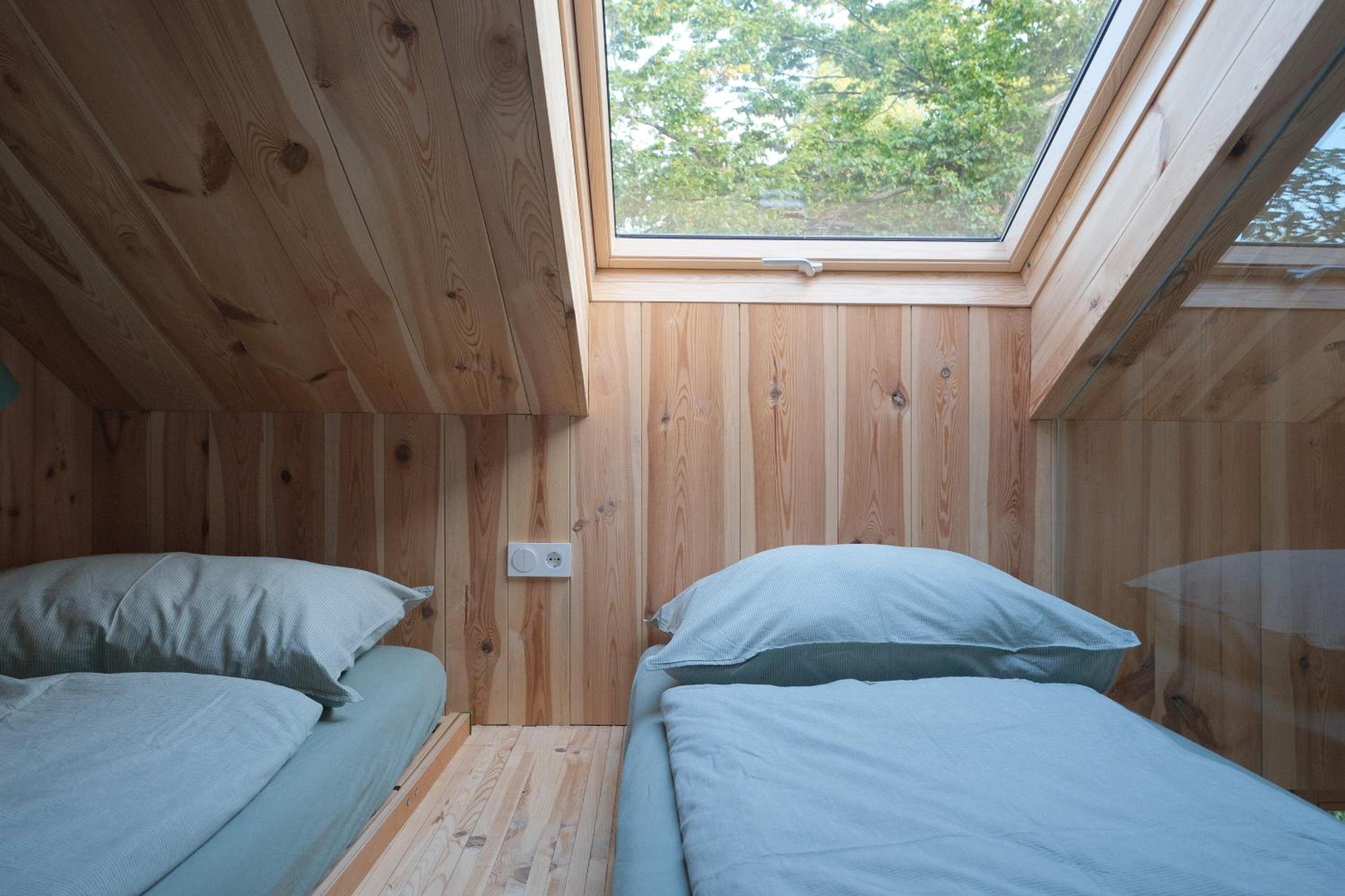 baumhaus buchengrün