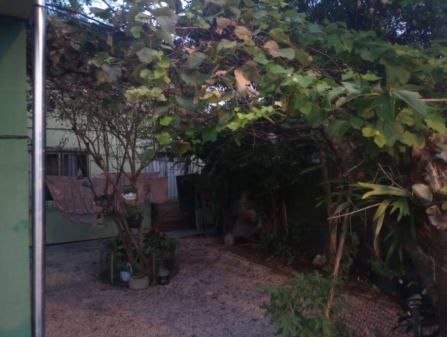 apartamento completo, campeche