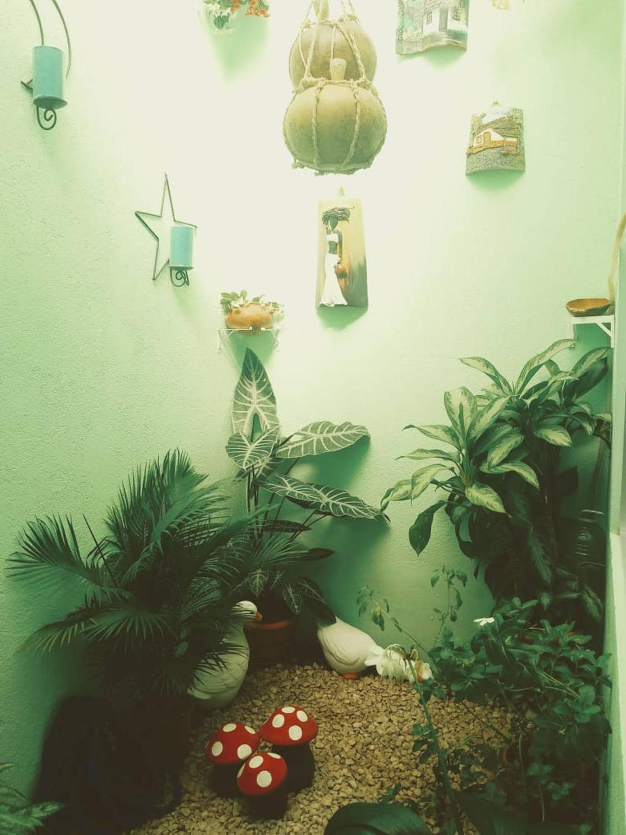 Room in House - Habitacion Y Bano Independientes