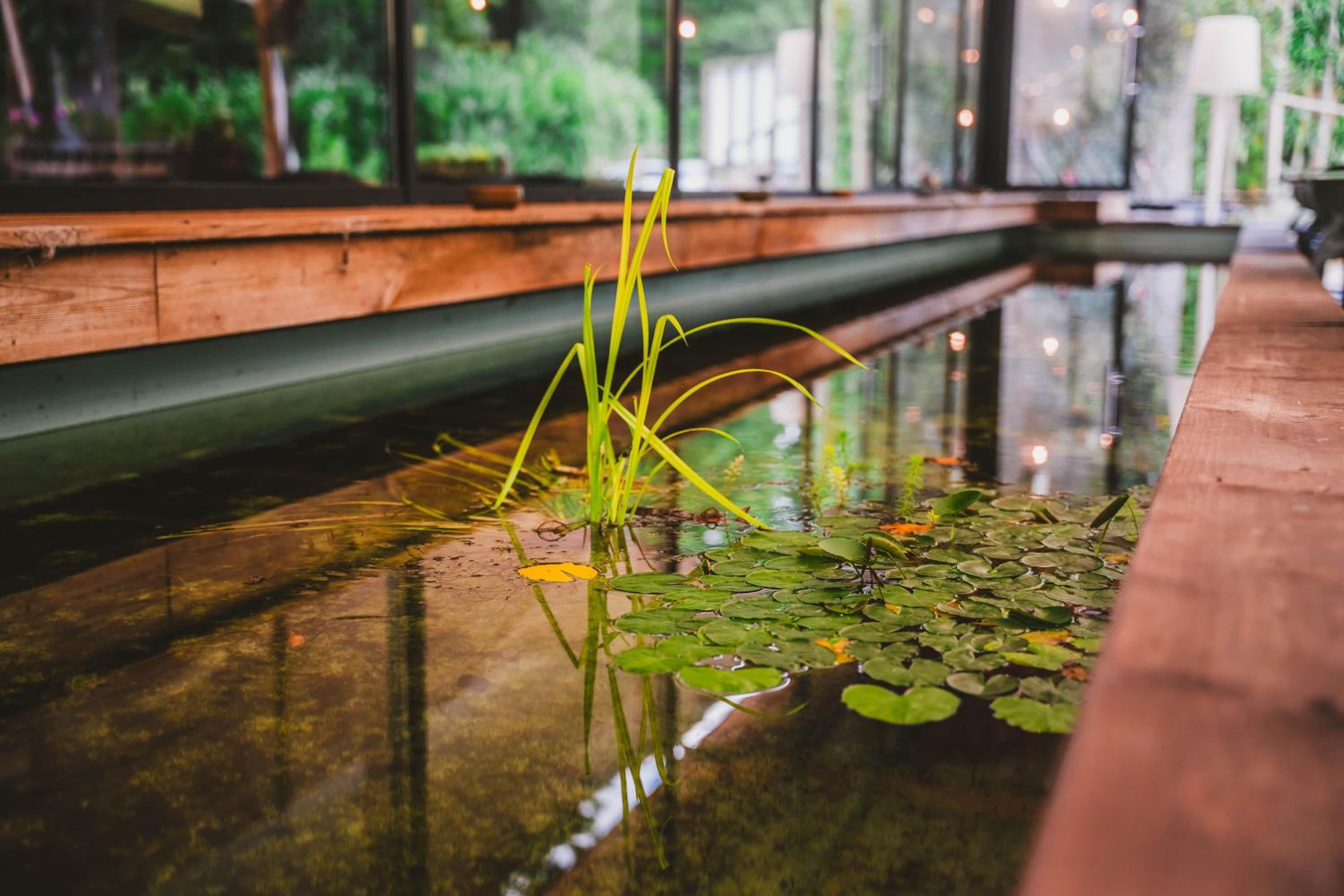 Utopia Village - Art & Nature Lodges