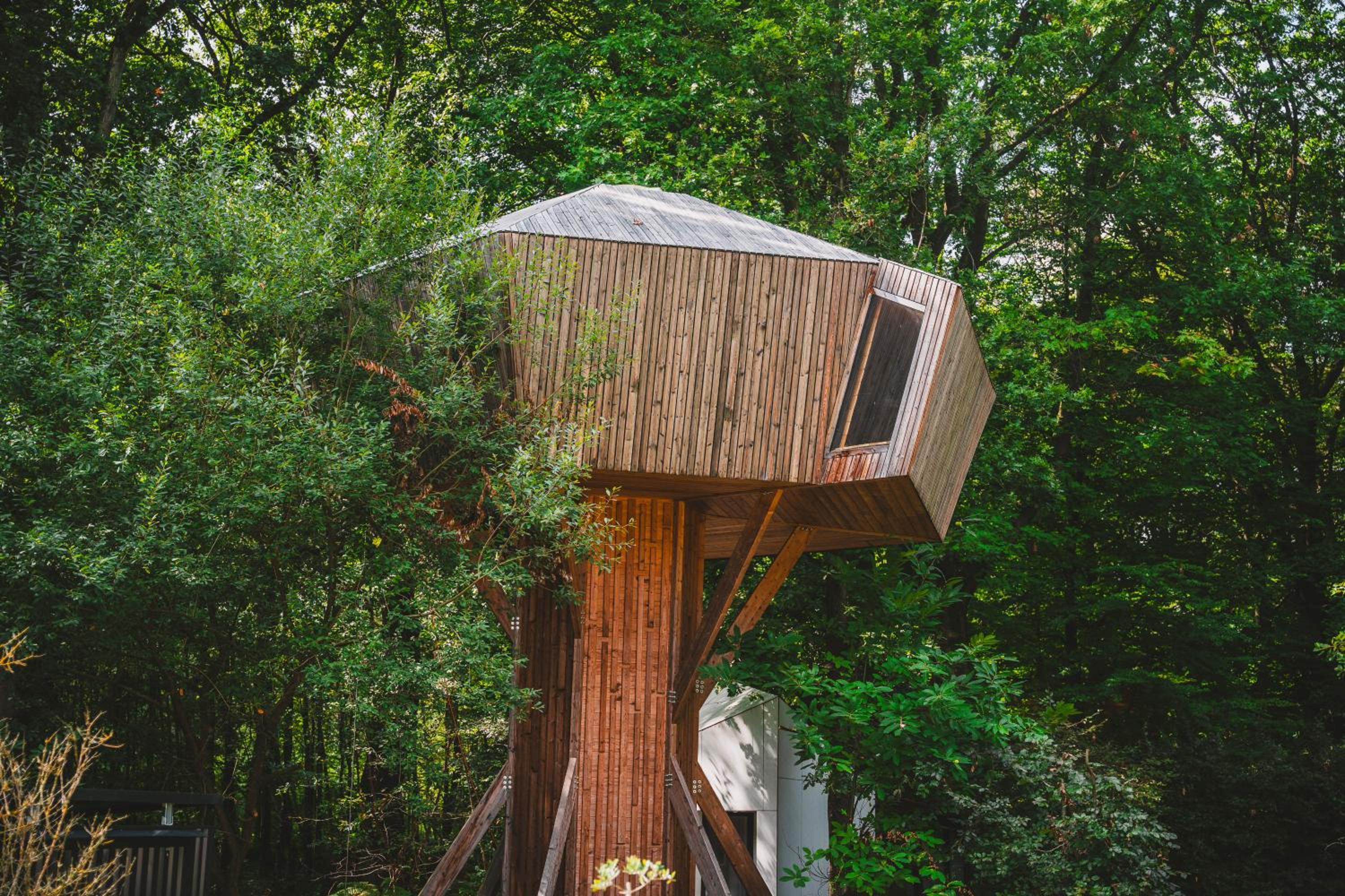 Utopia Village - Art & Nature Lodges