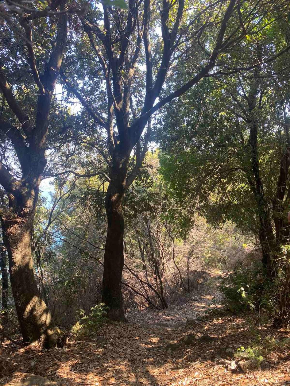 Photo 57