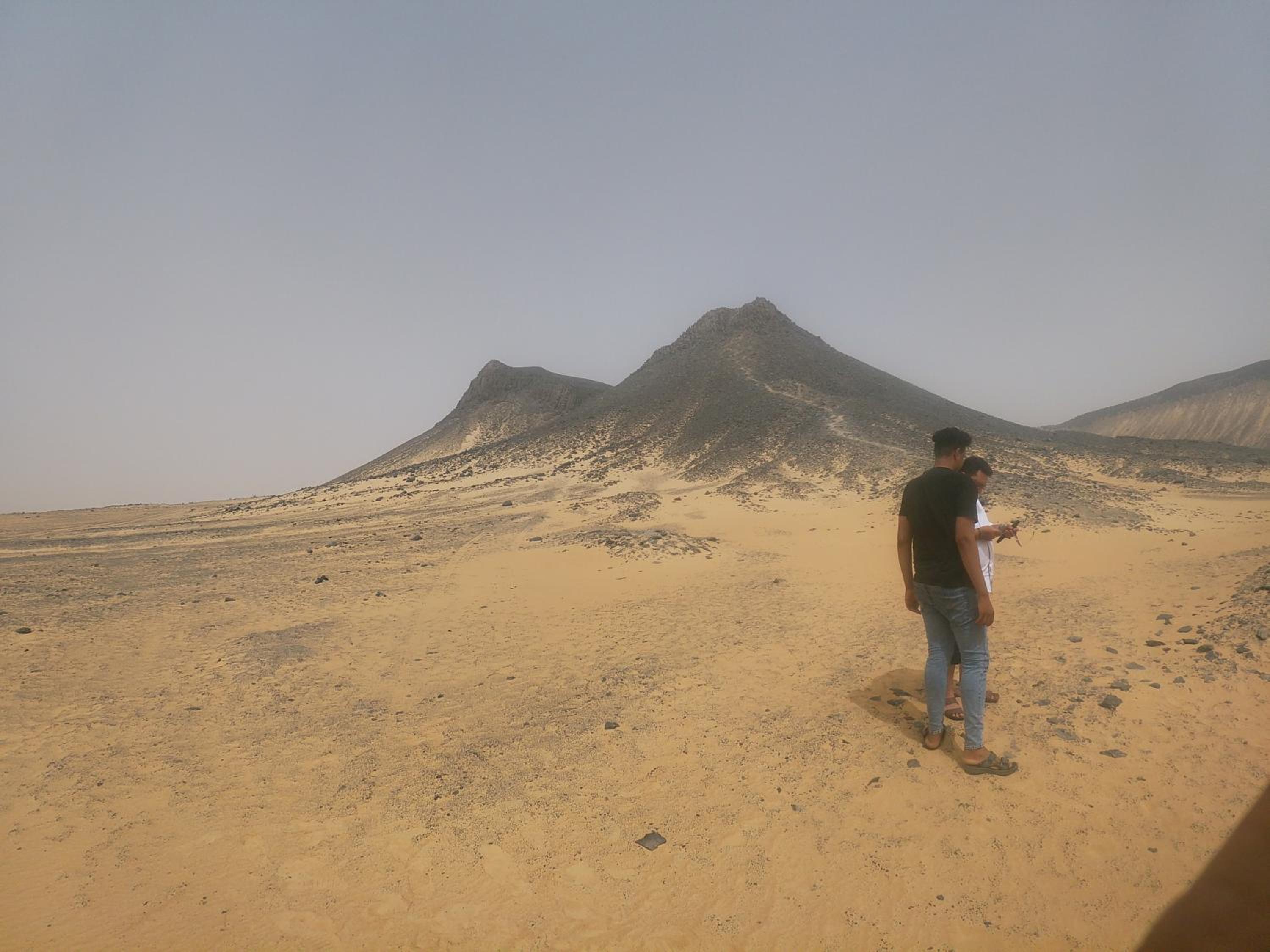safari desert