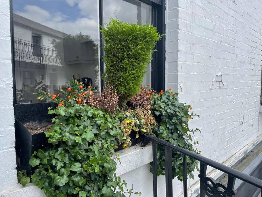 Spacious 1-bedroom apartment in Belsize Village