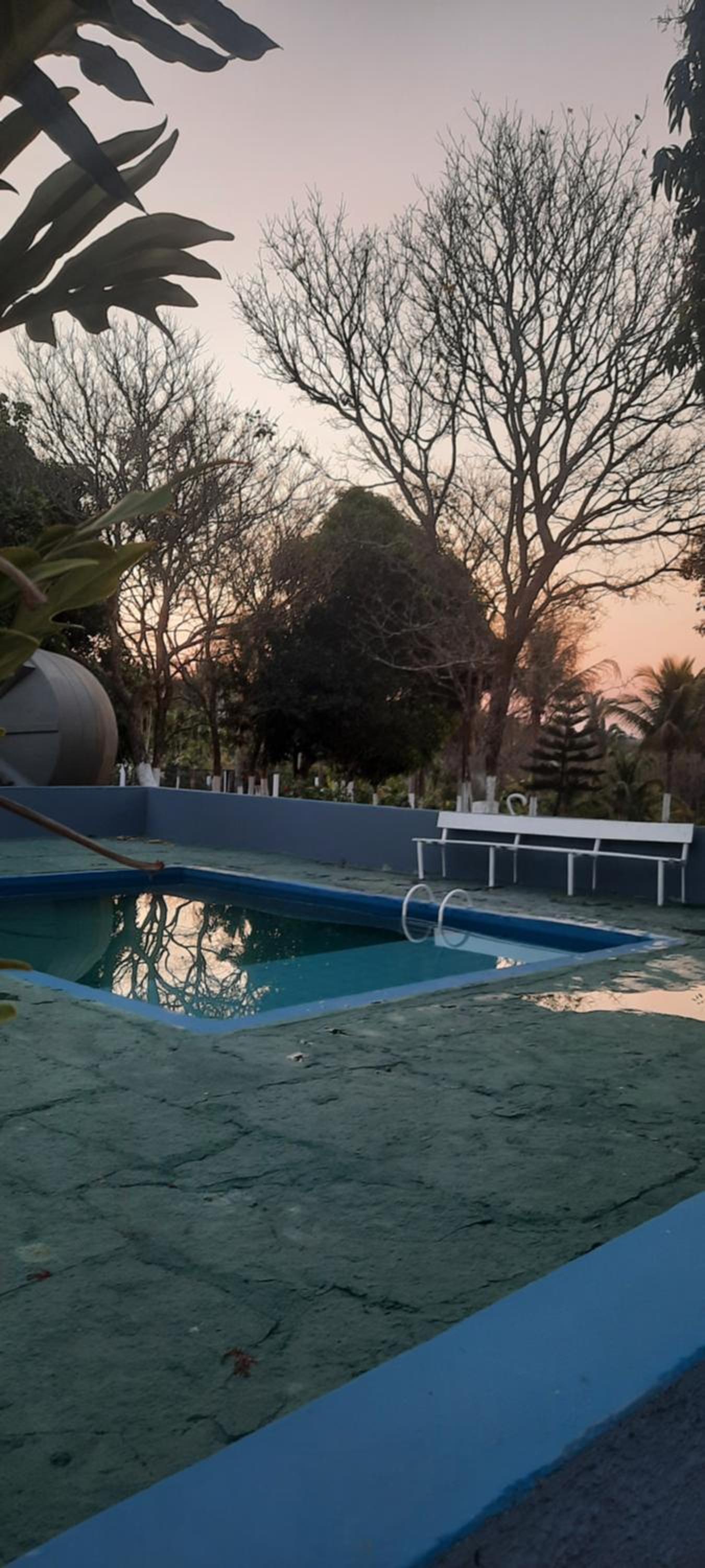 Valle dos ipês