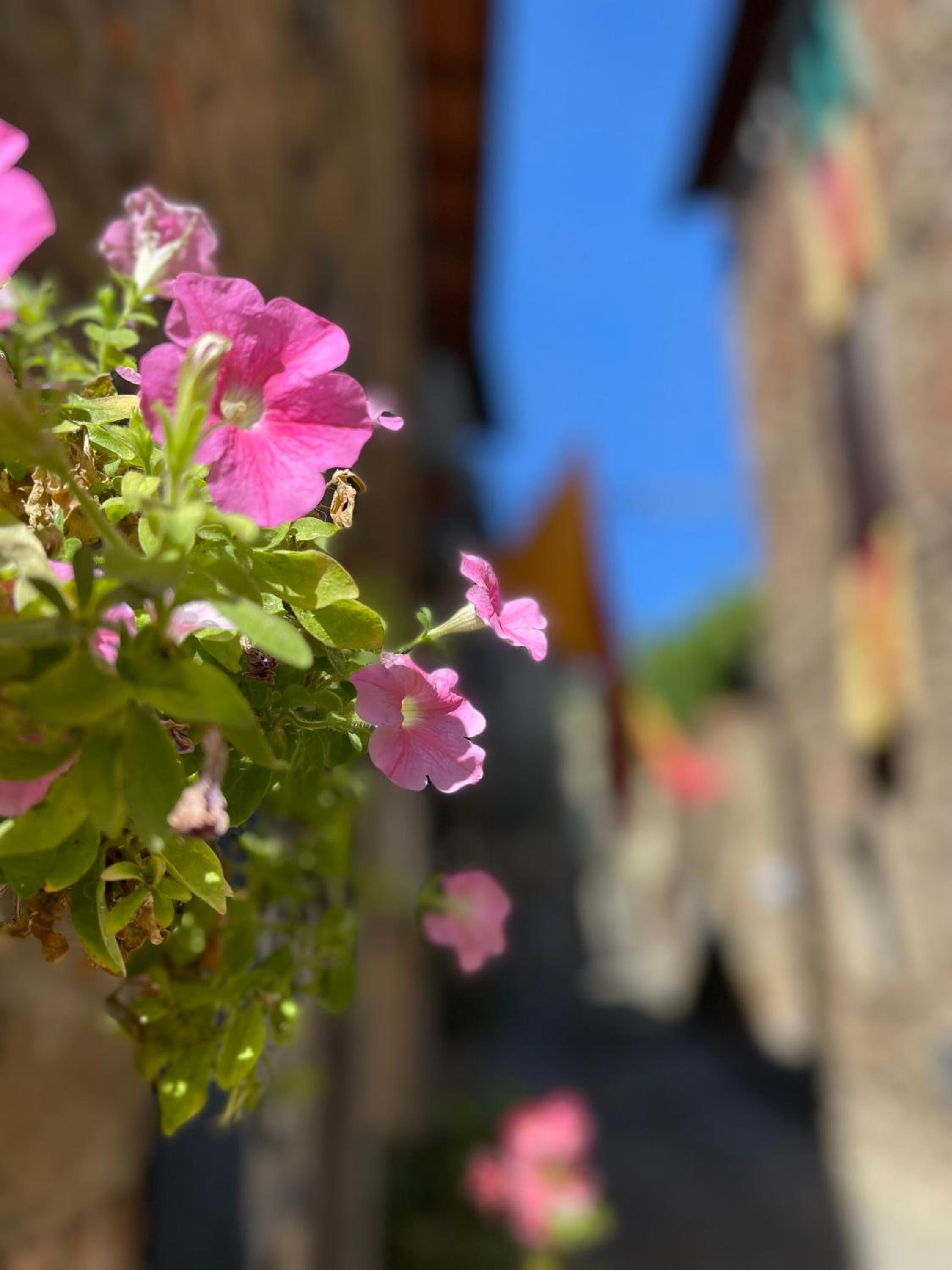 La Casa in Castello