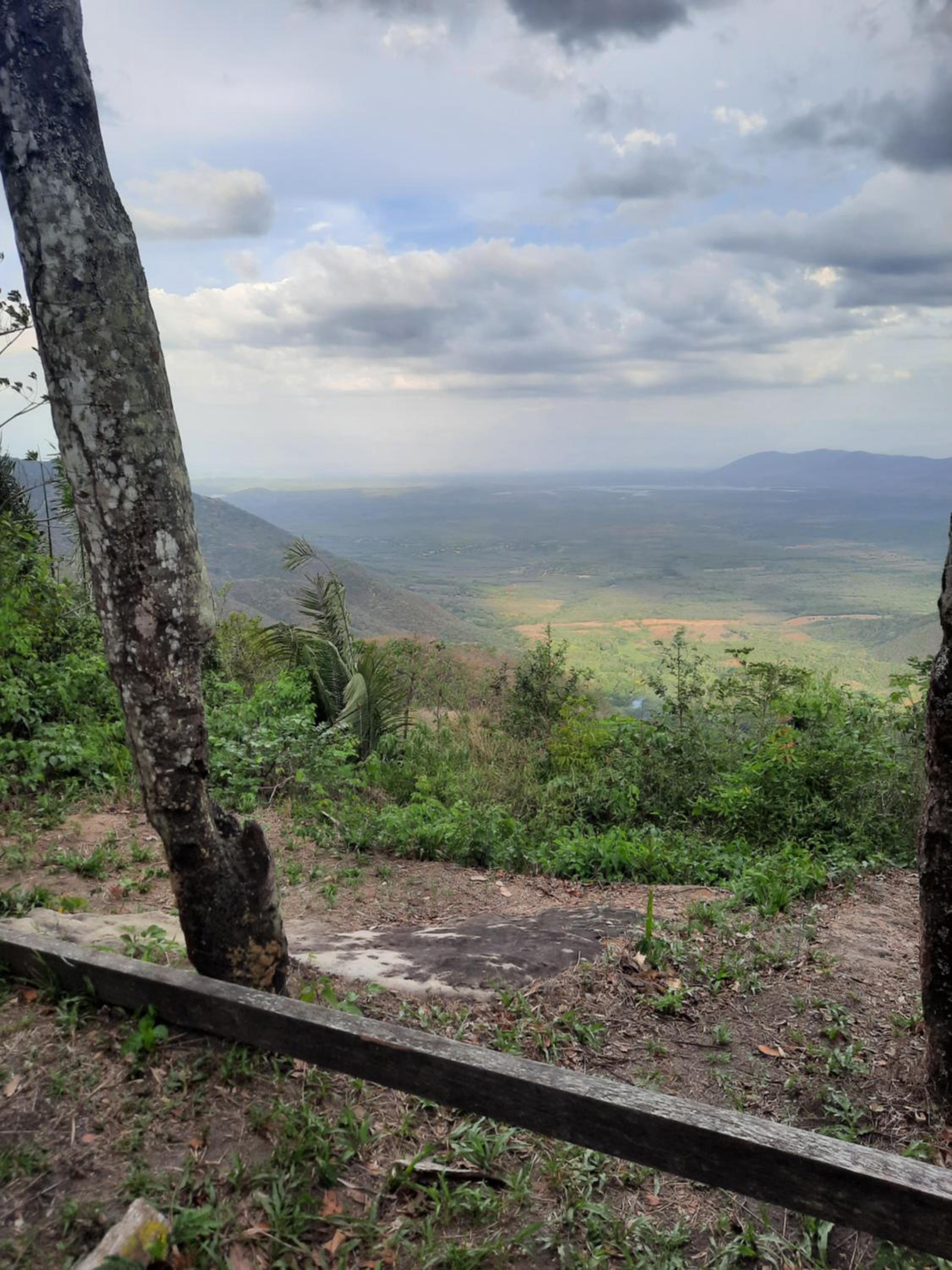 Valle dos ipês