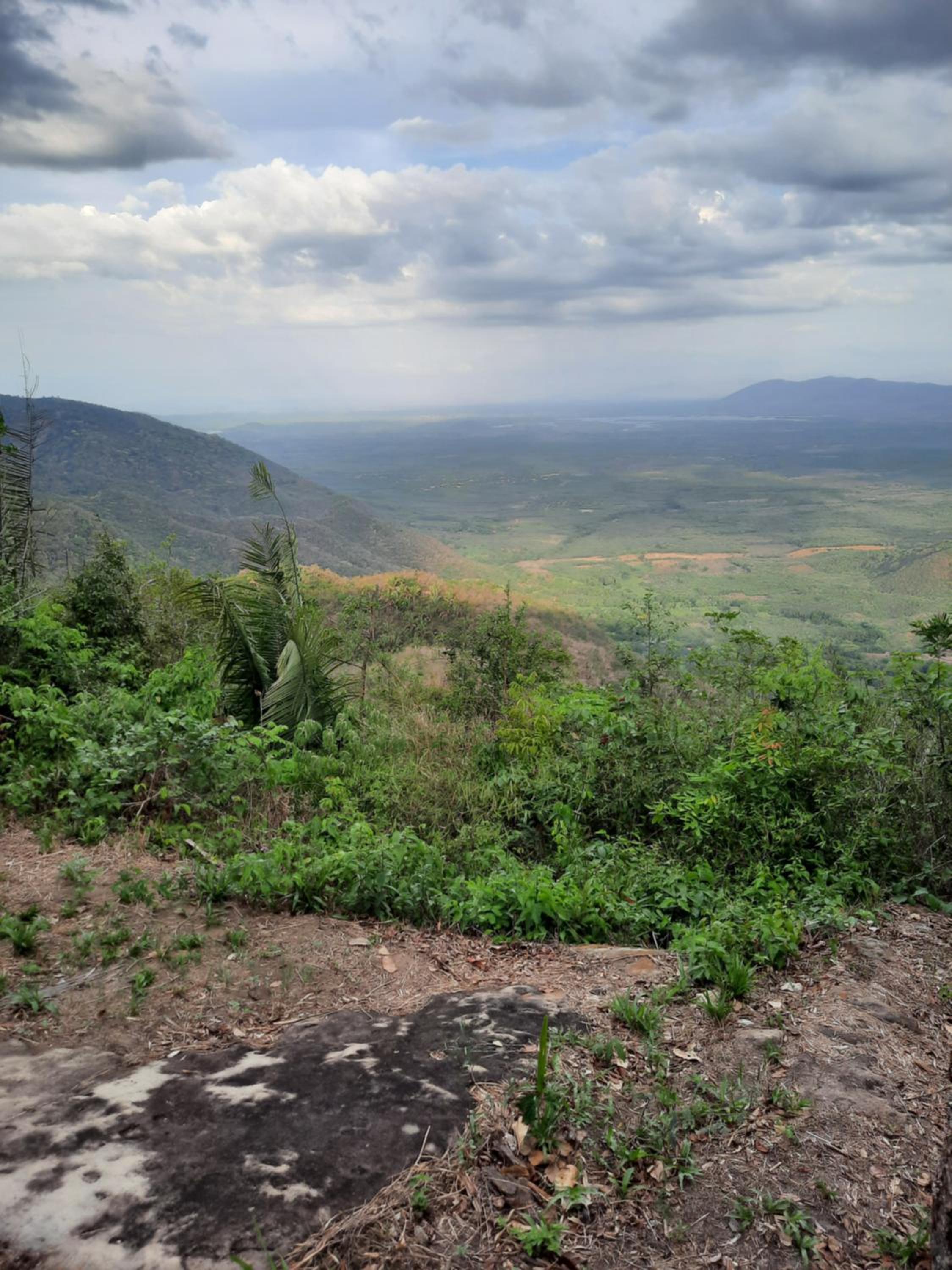 Valle dos ipês