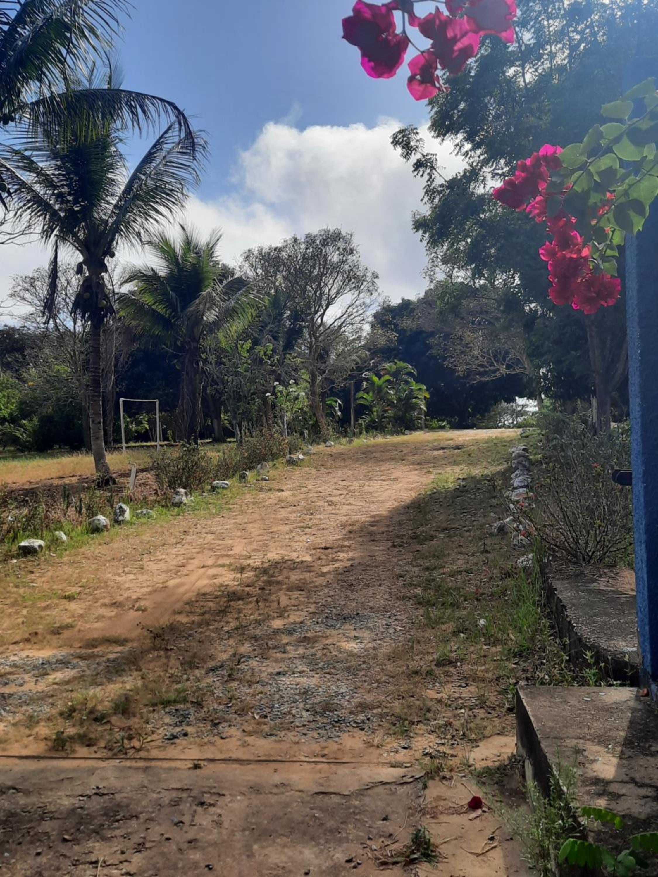 Valle dos ipês