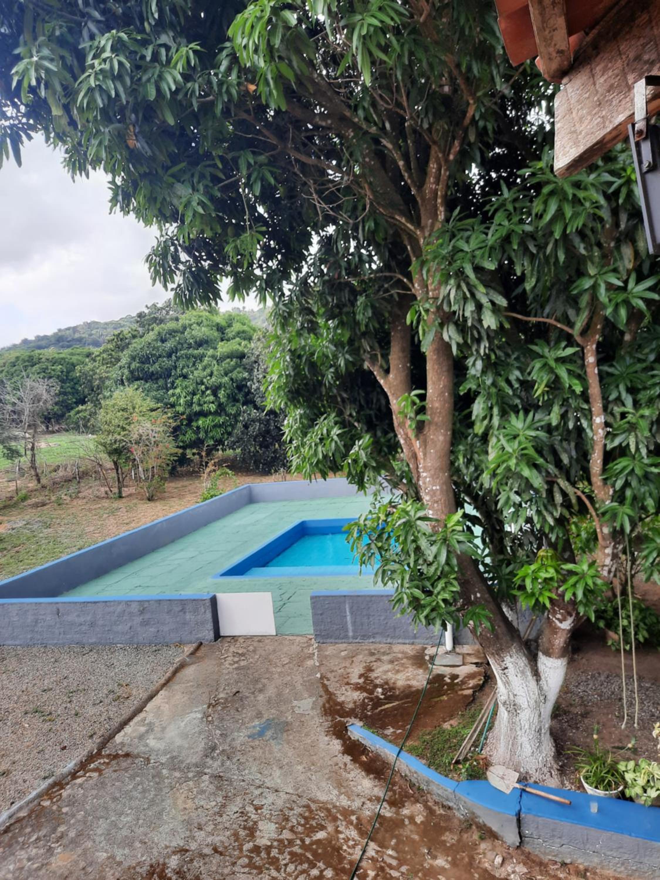 Valle dos ipês