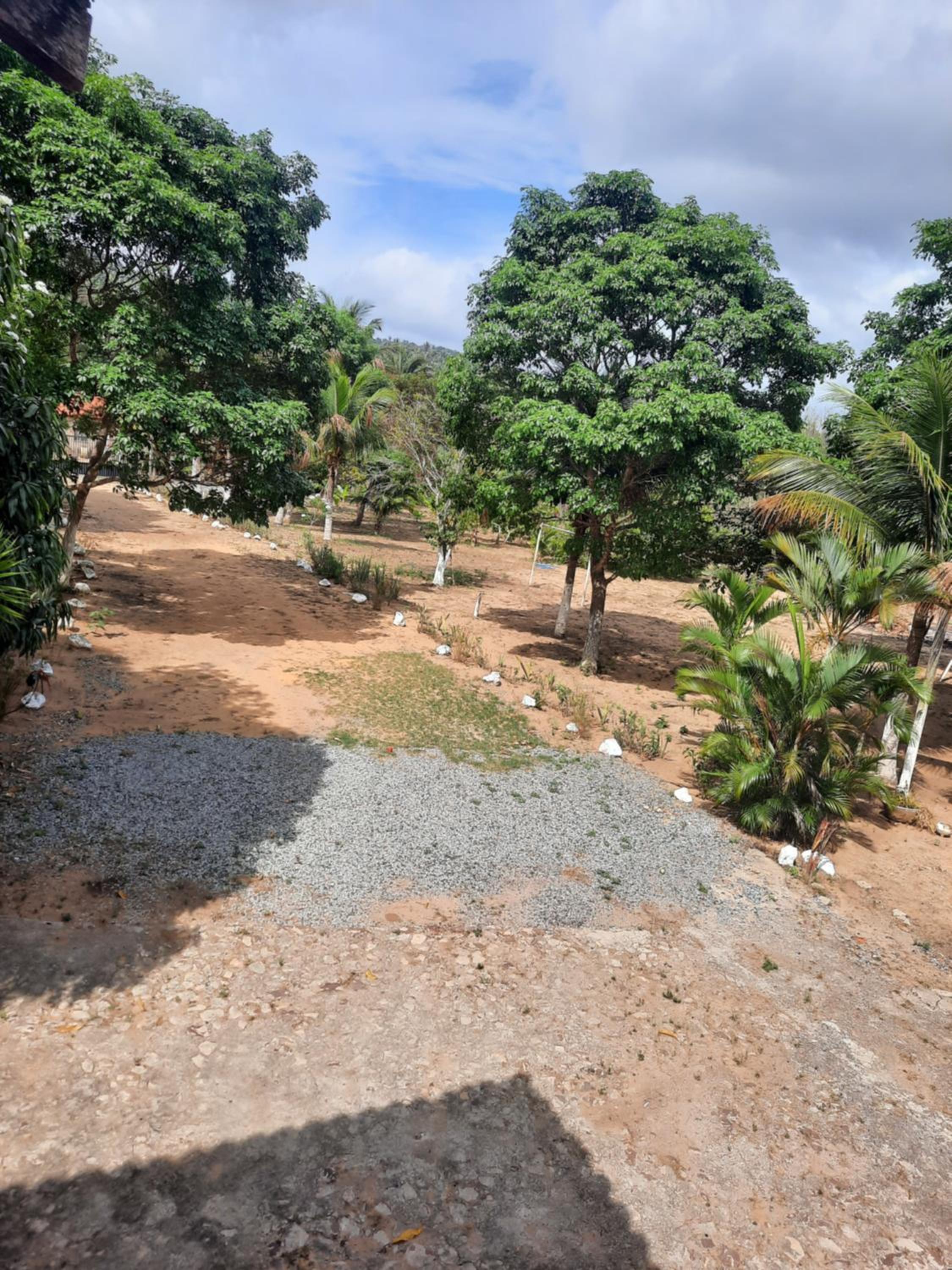 Valle dos ipês