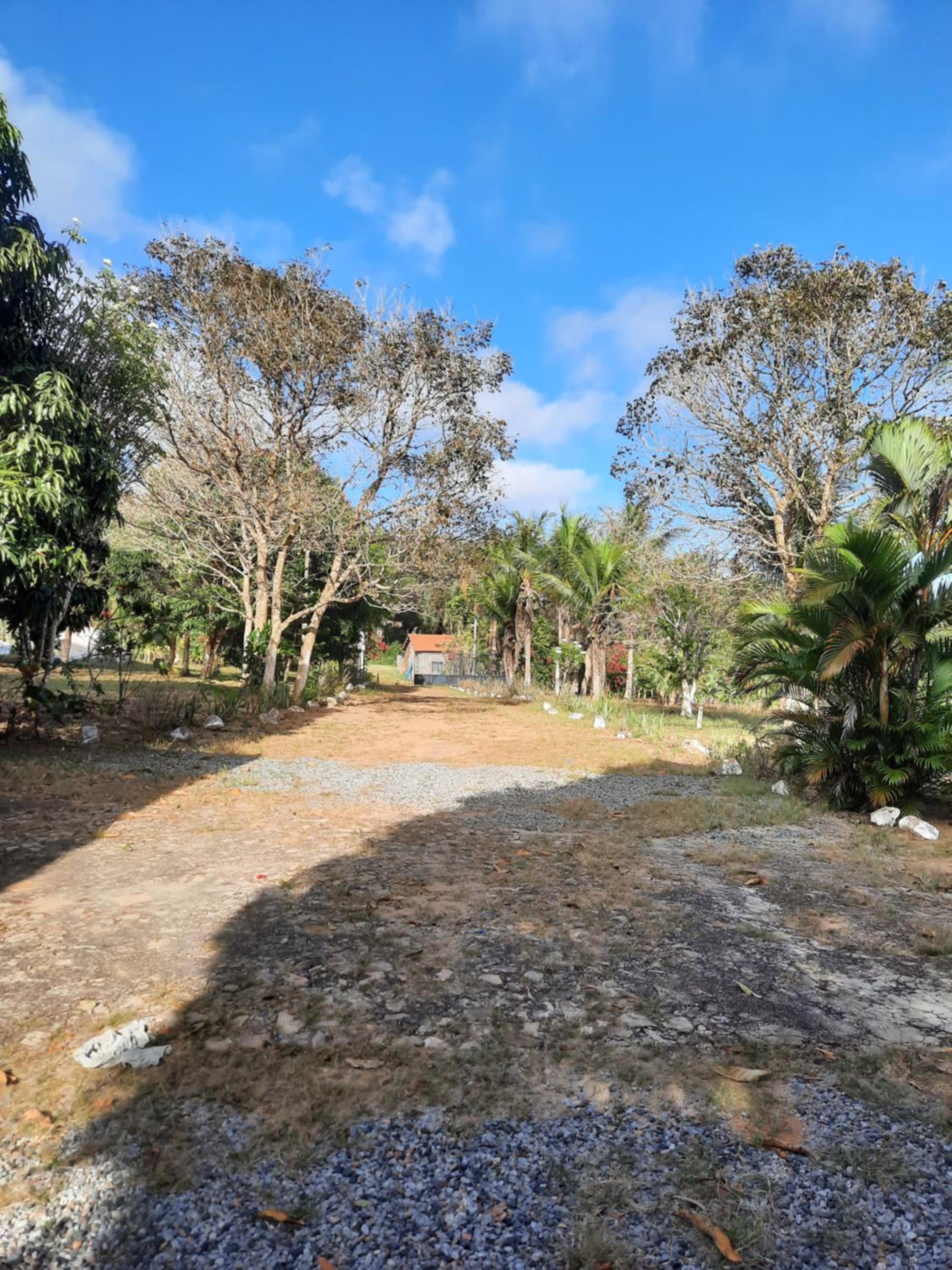Valle dos ipês