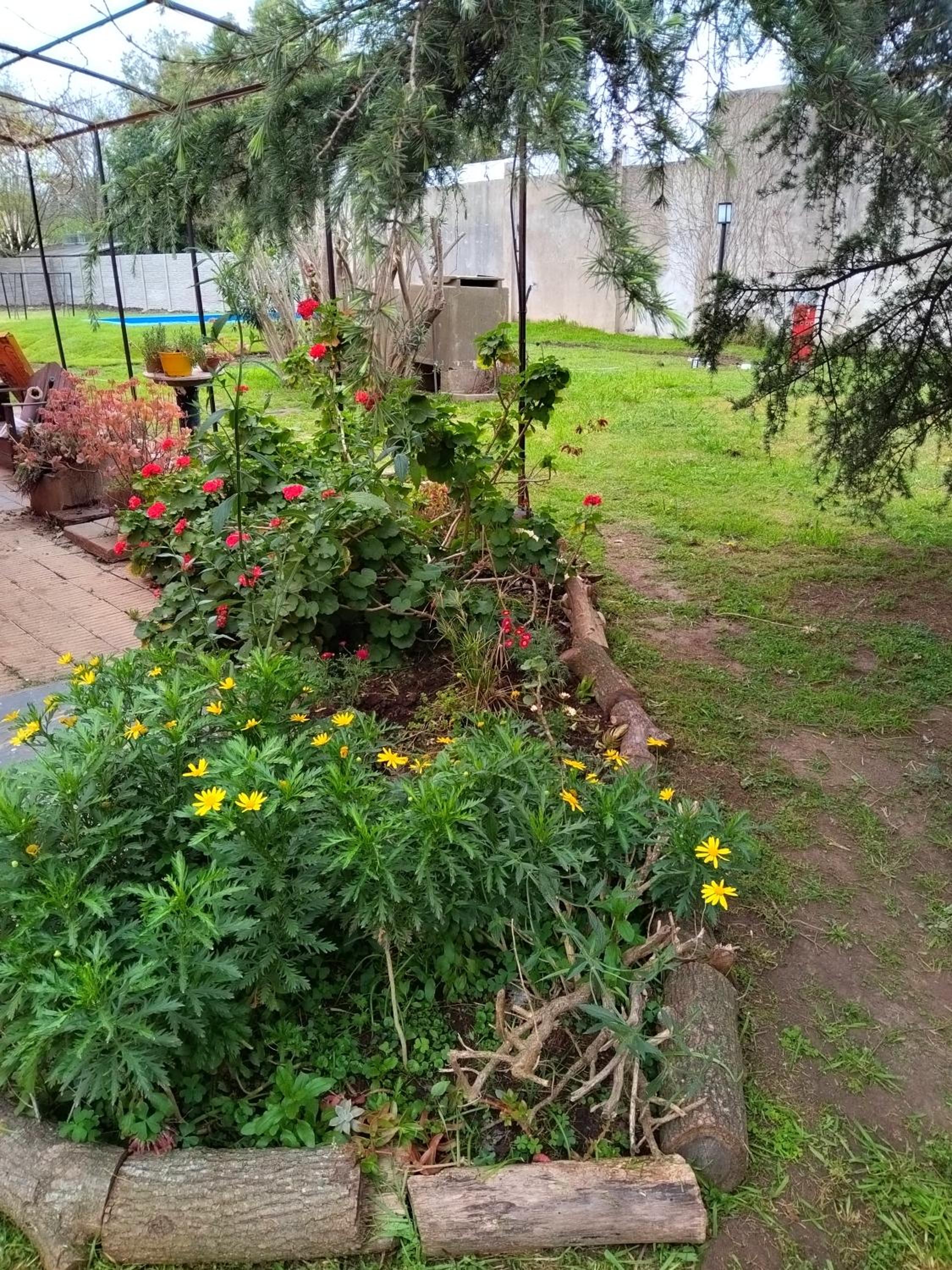 Family Place II