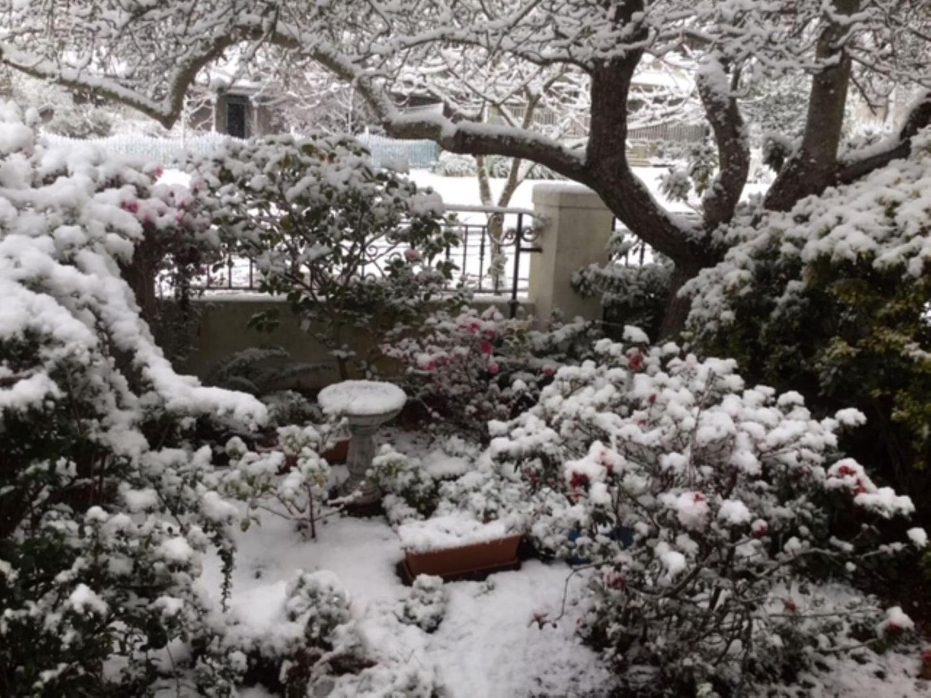 Victoria House Leura