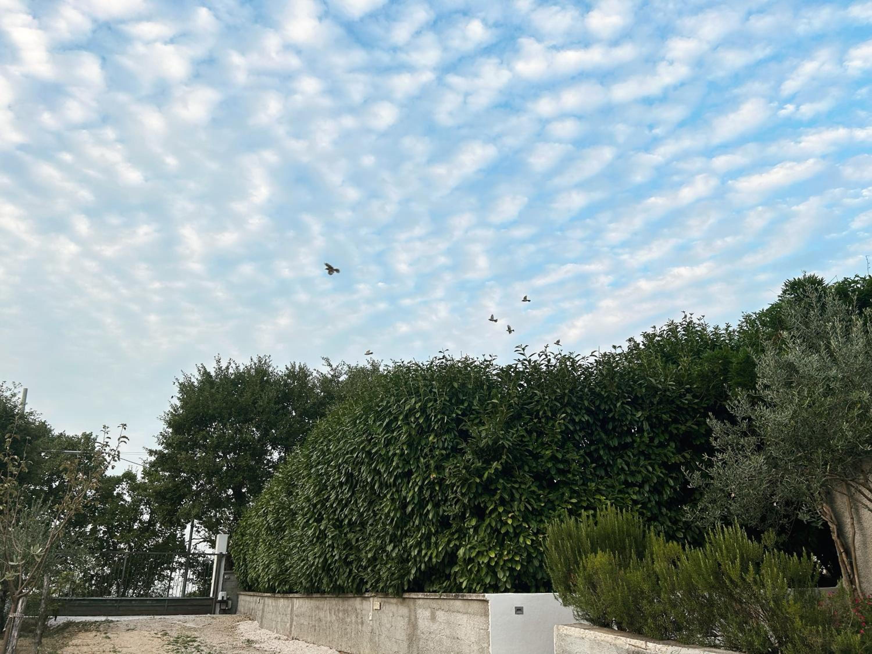 Photo 41