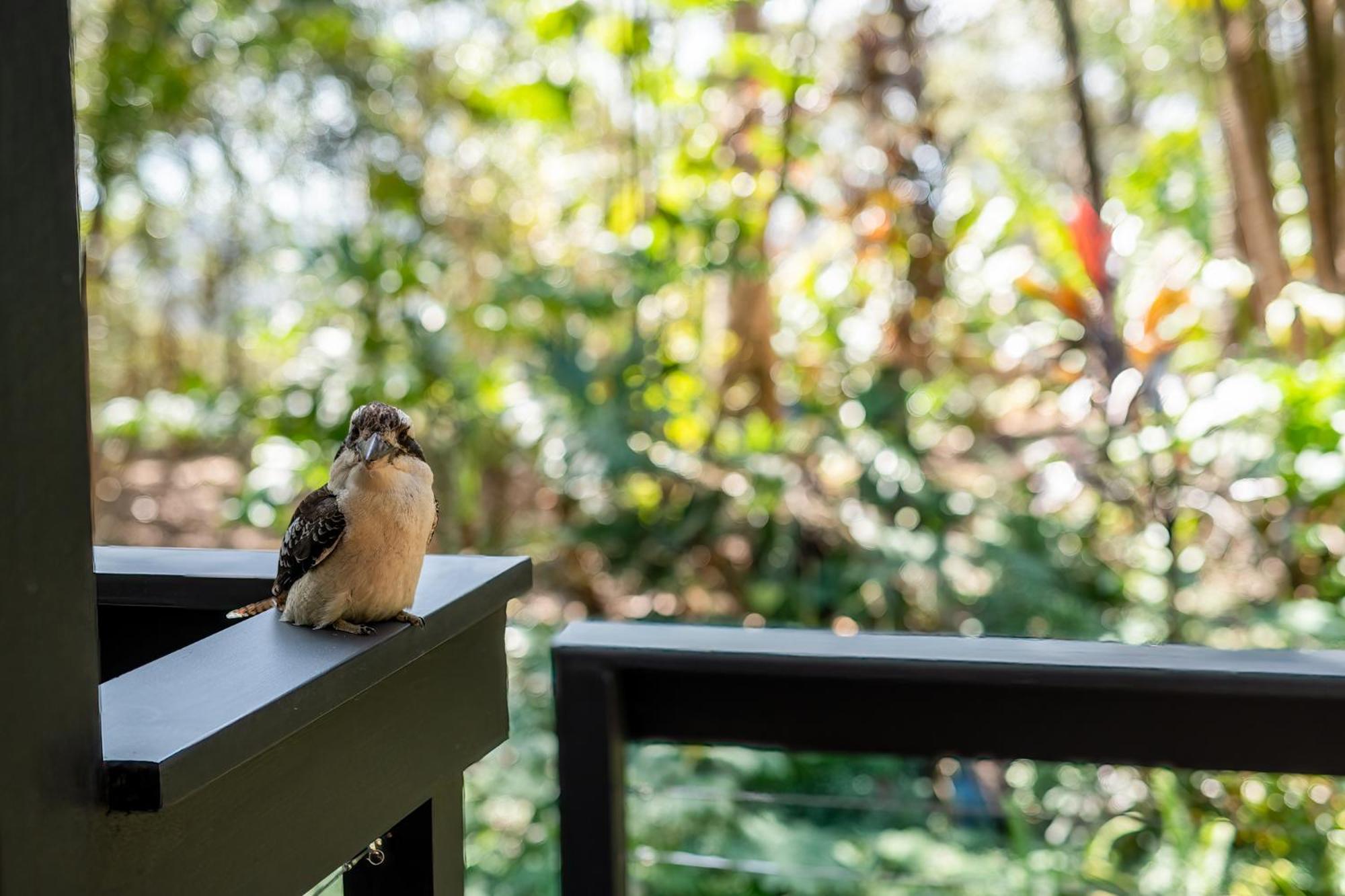Elevata Villa Montville - Magnesium Spa & Fireplace set in a Lush Tropical Garden