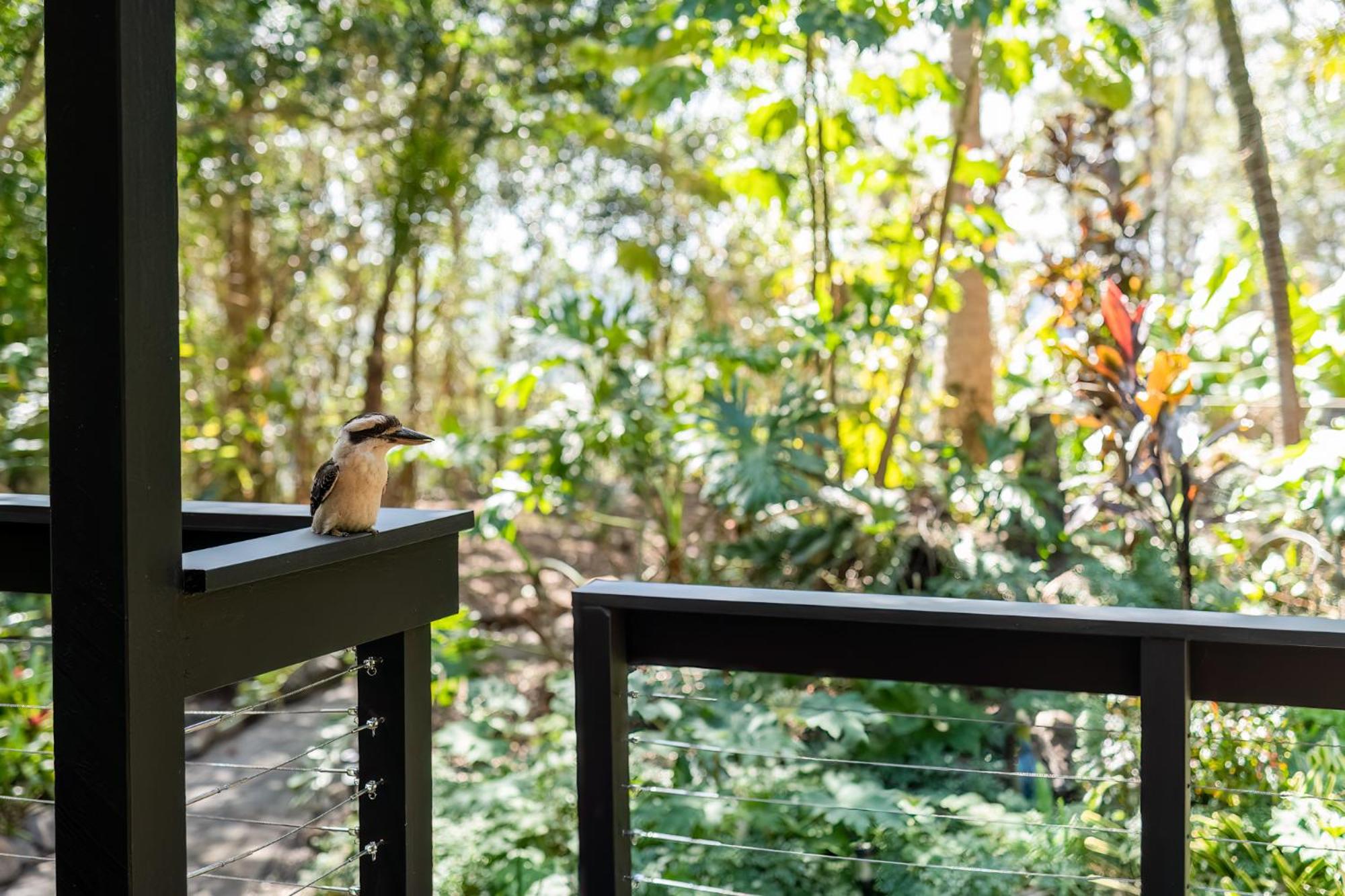 Elevata Villa Montville - Magnesium Spa & Fireplace set in a Lush Tropical Garden