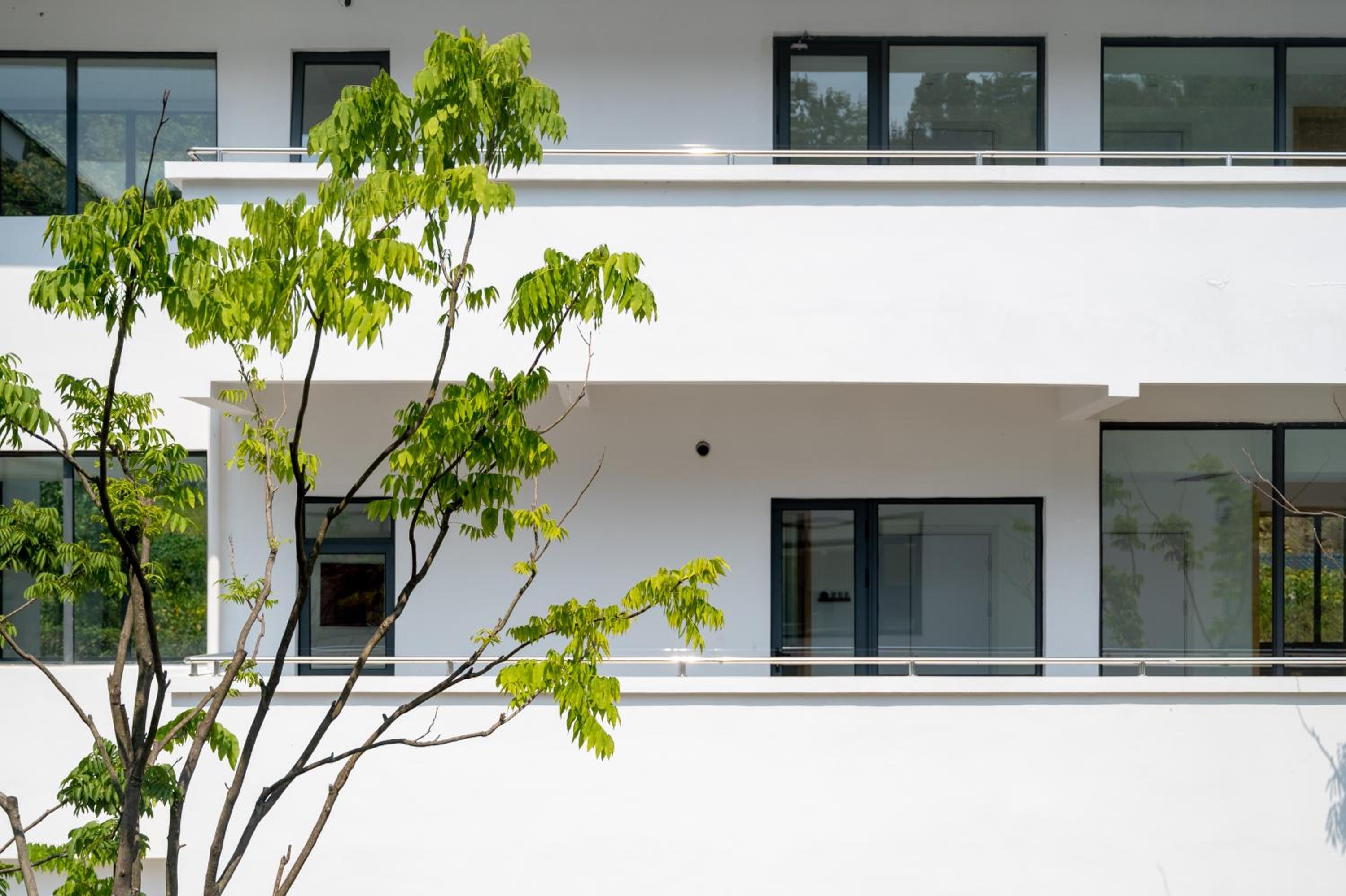 Brandy Manor Wild Luxury B&B - Jinzhai Branch