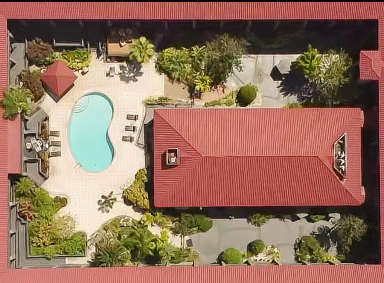 Red Roof Inn PLUS & Suites Tampa - Busch Gardens, Photo 14