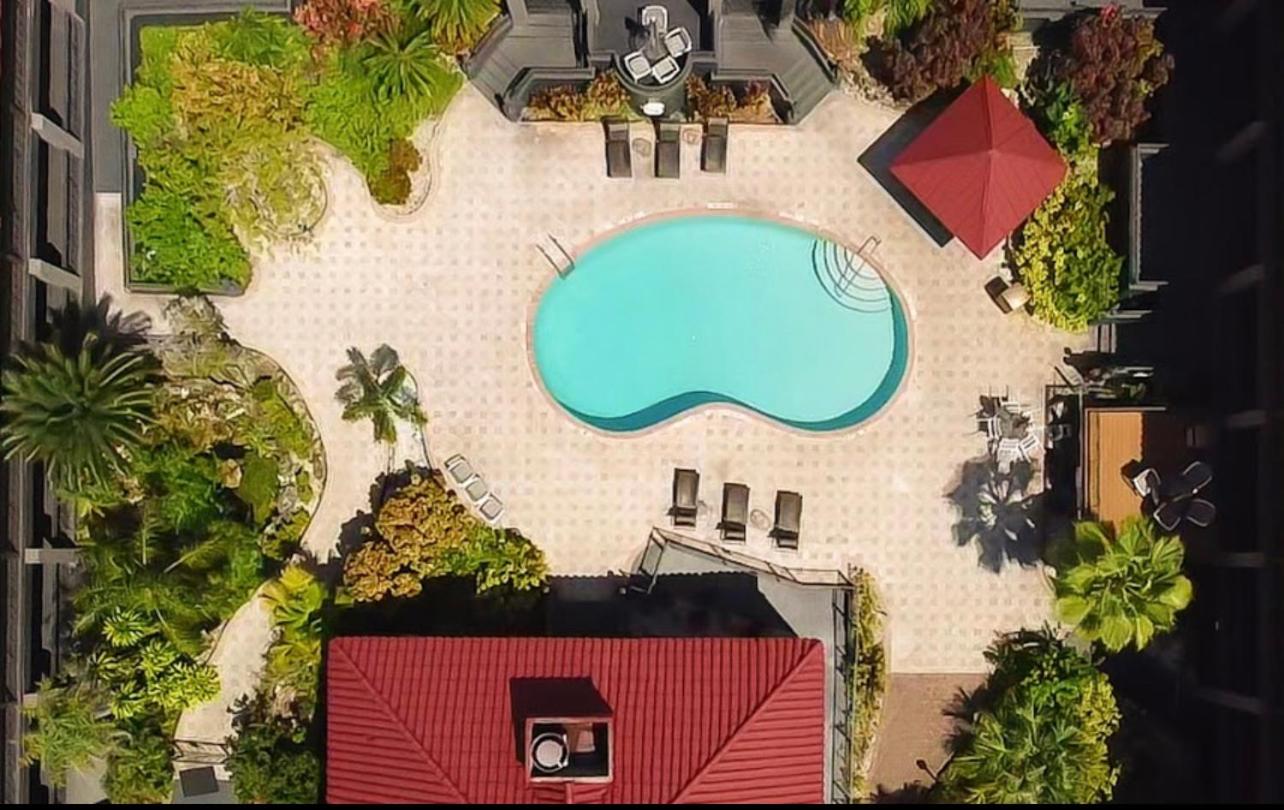 Red Roof Inn PLUS & Suites Tampa - Busch Gardens, Photo 16