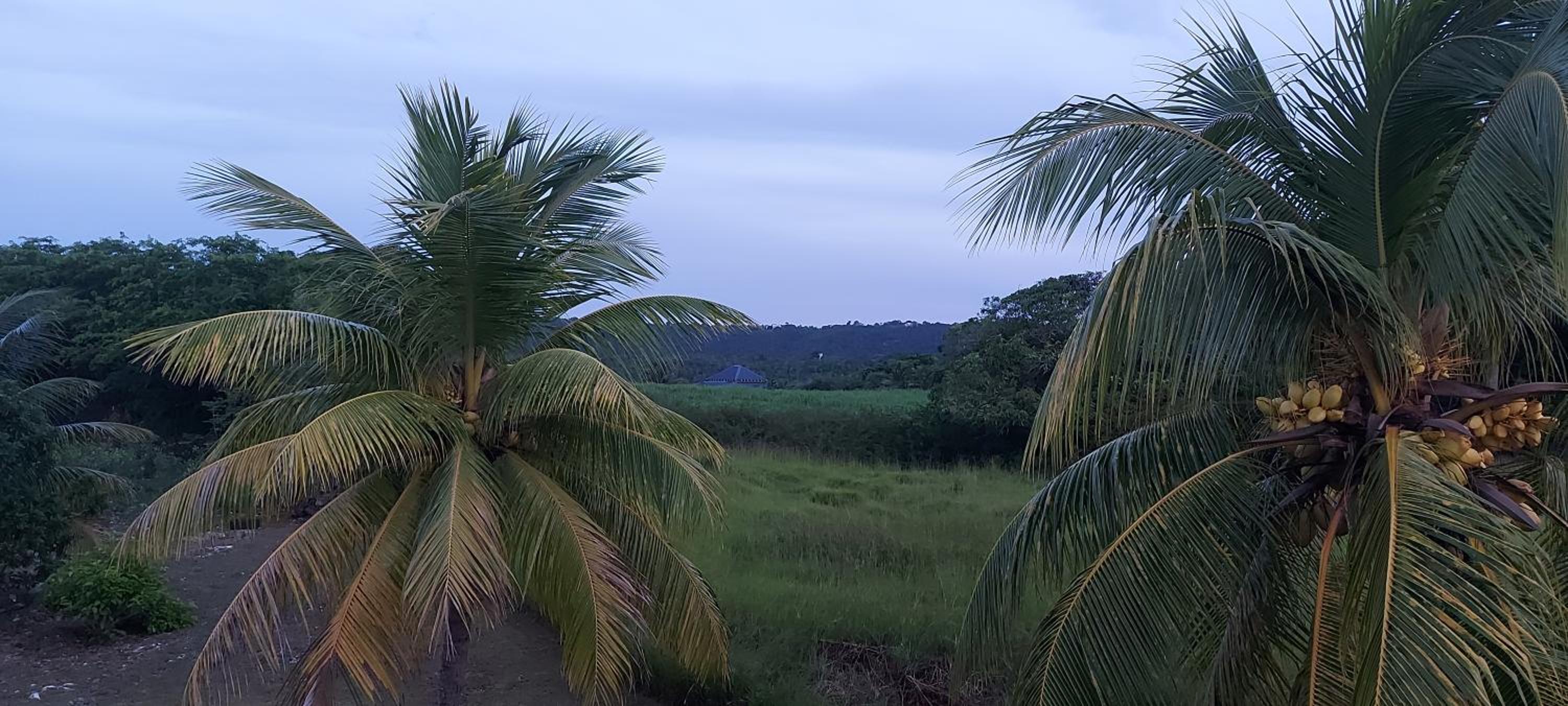 HAUT DE VILLA " vu sur la colline " view 4
