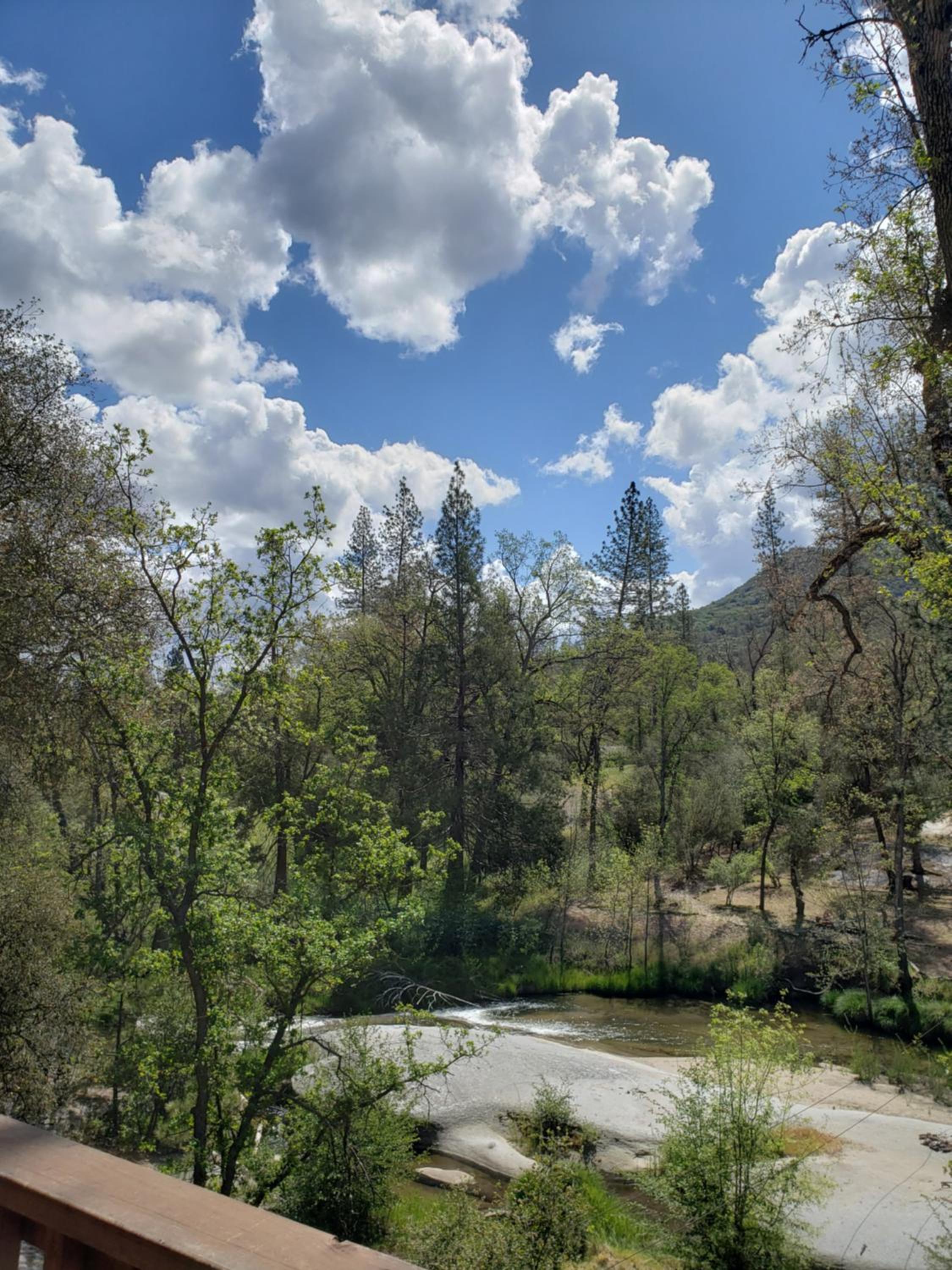 Yosemite Mountain Retreat view 2