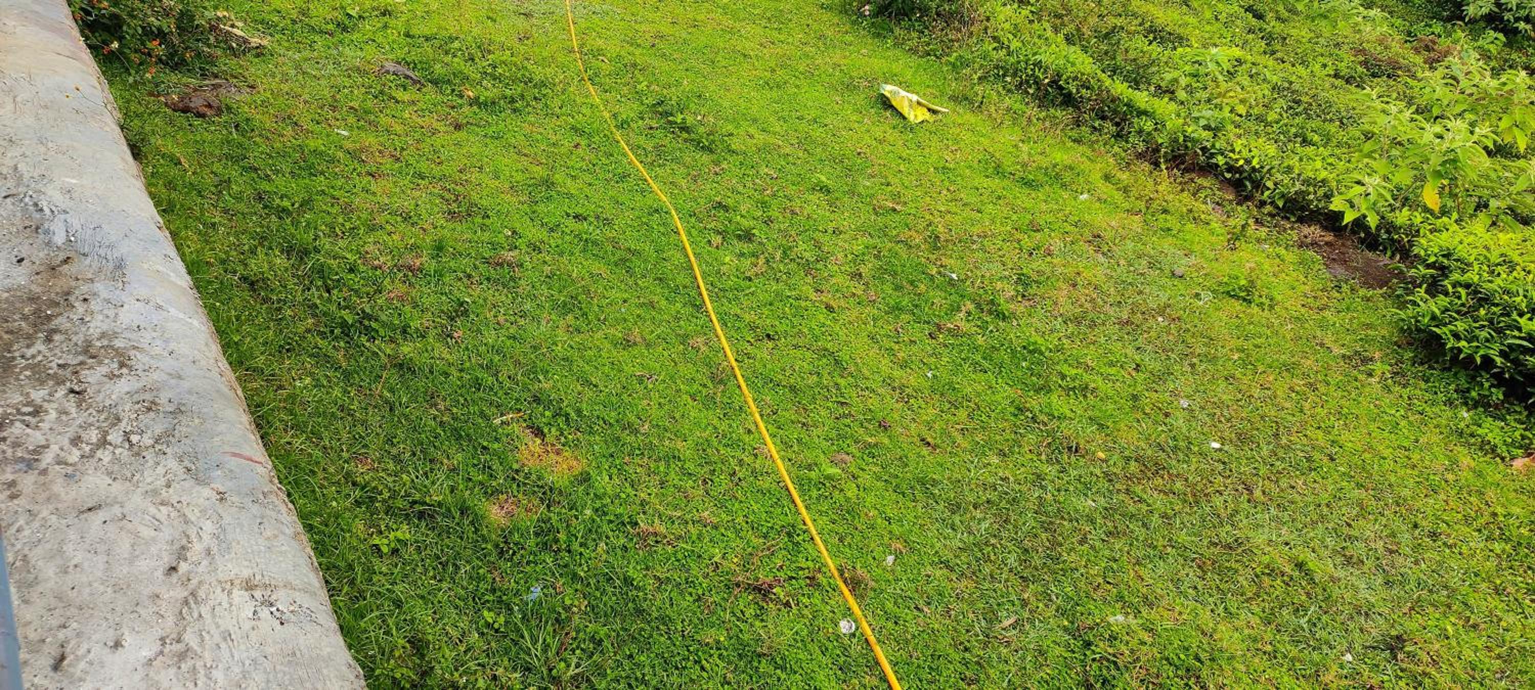 Photo 28