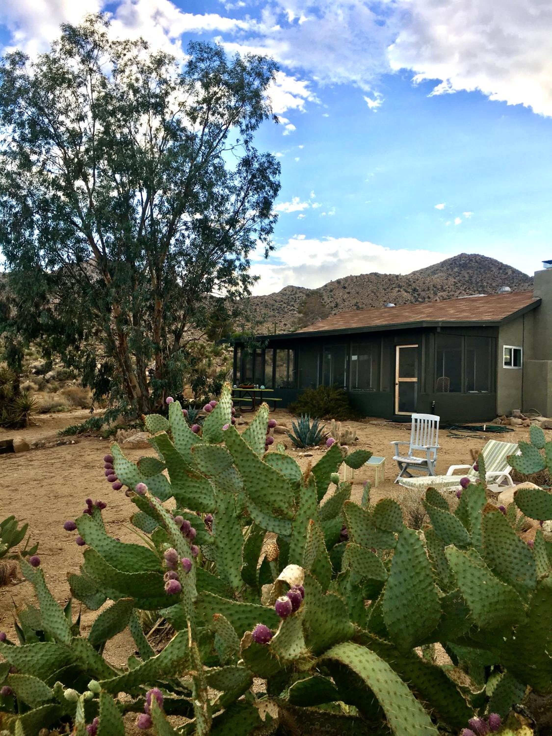 Joshua Tree Dream Weaver hot tub & National Park view 2