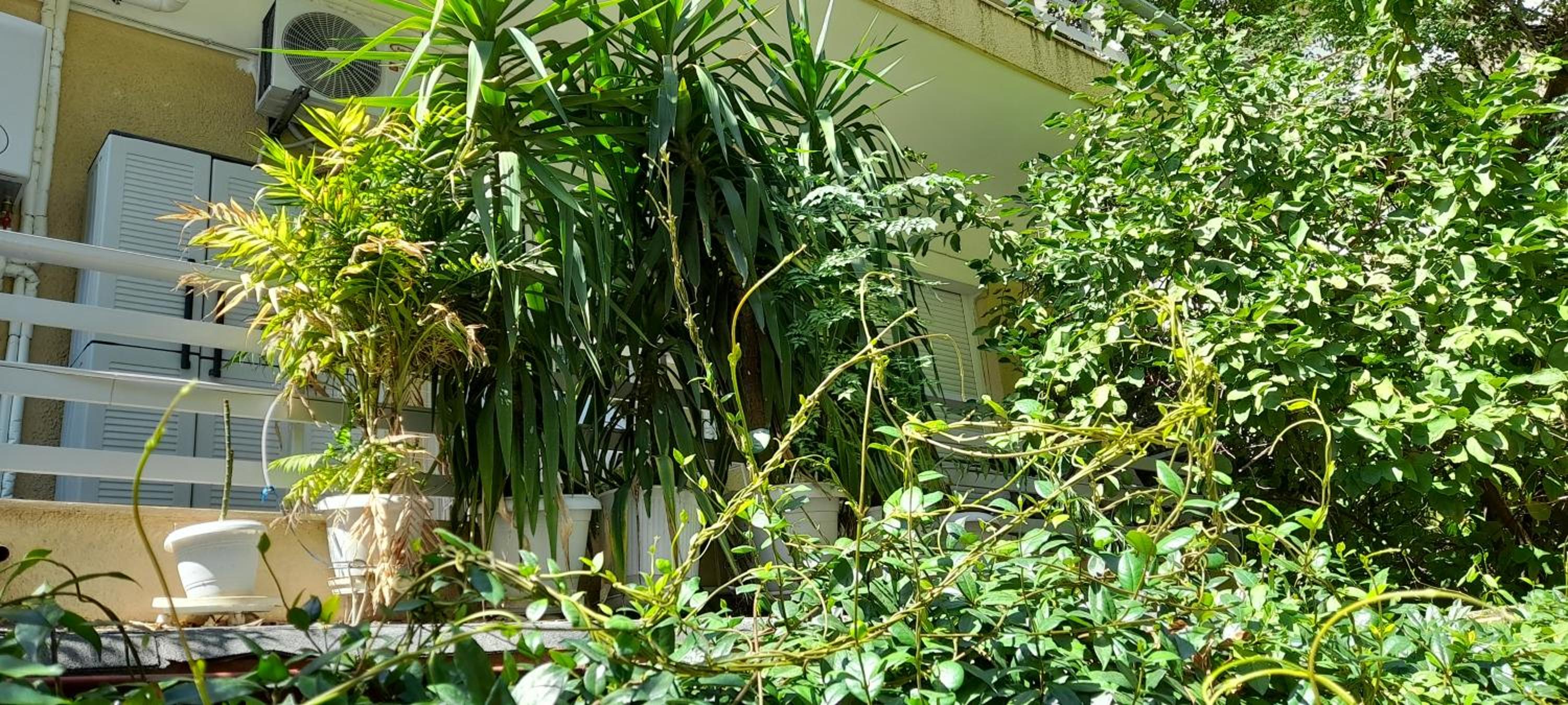 Apartment with a green balcony in Athens