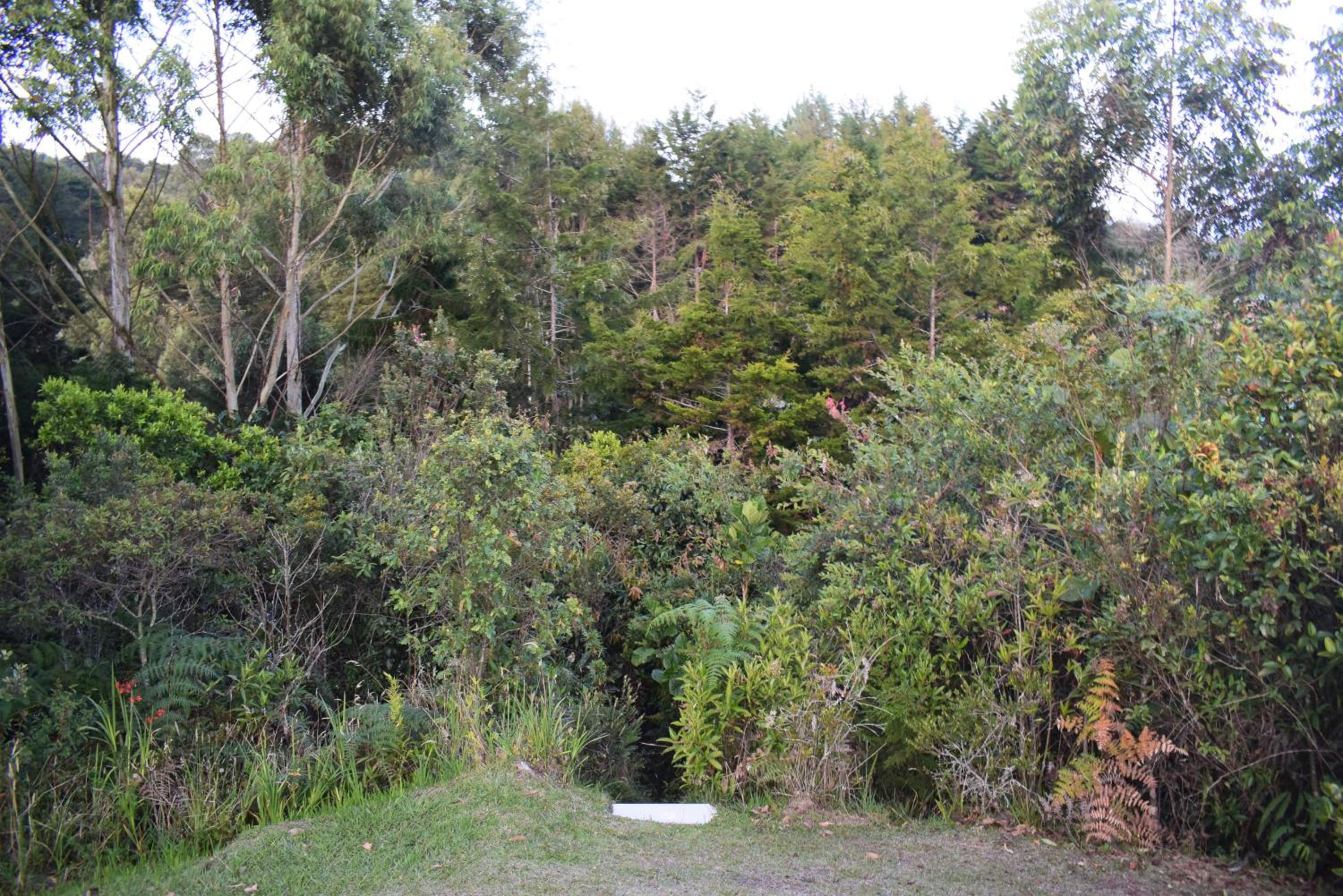 Chalet Tanat