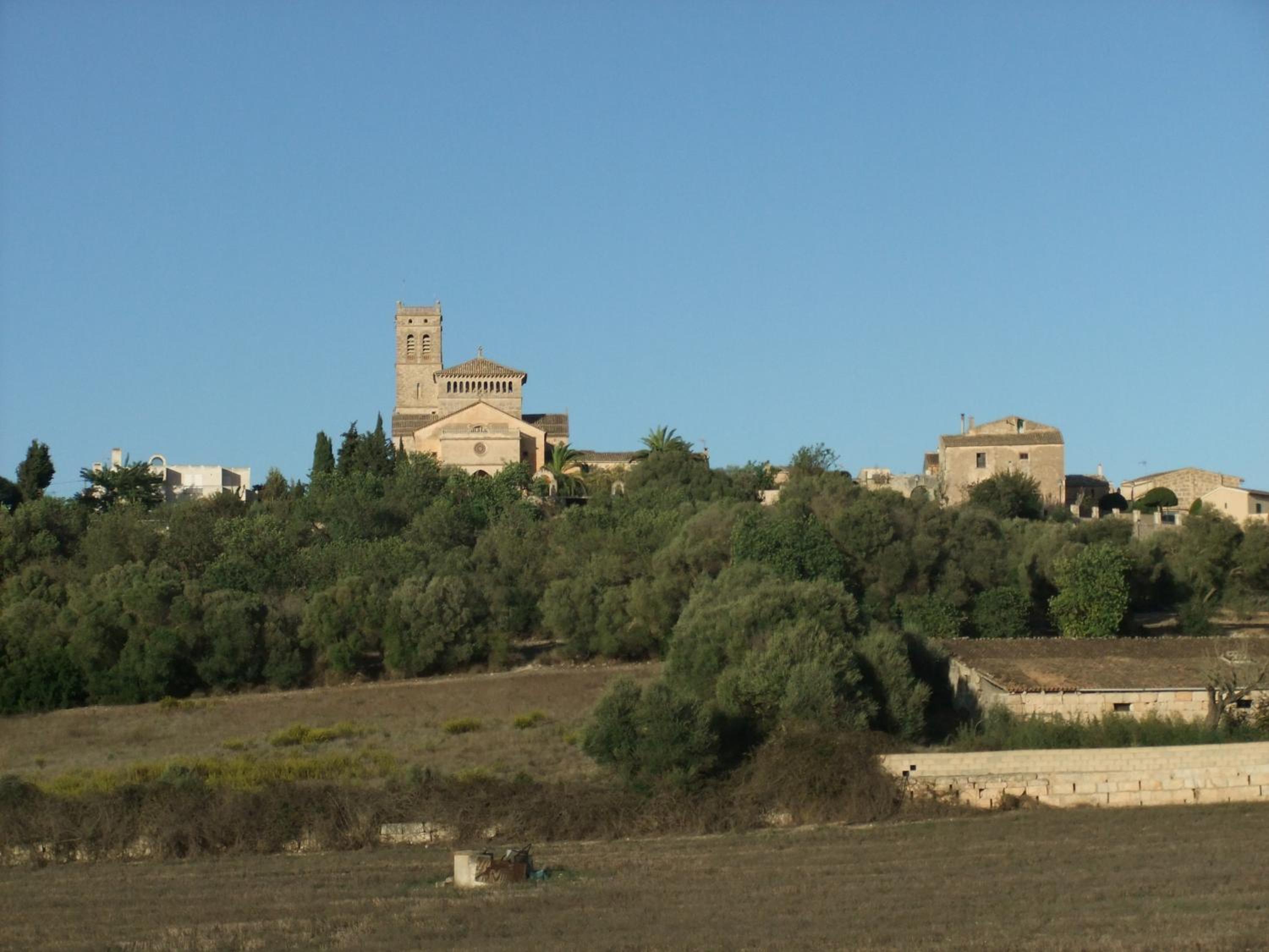 Photo 22