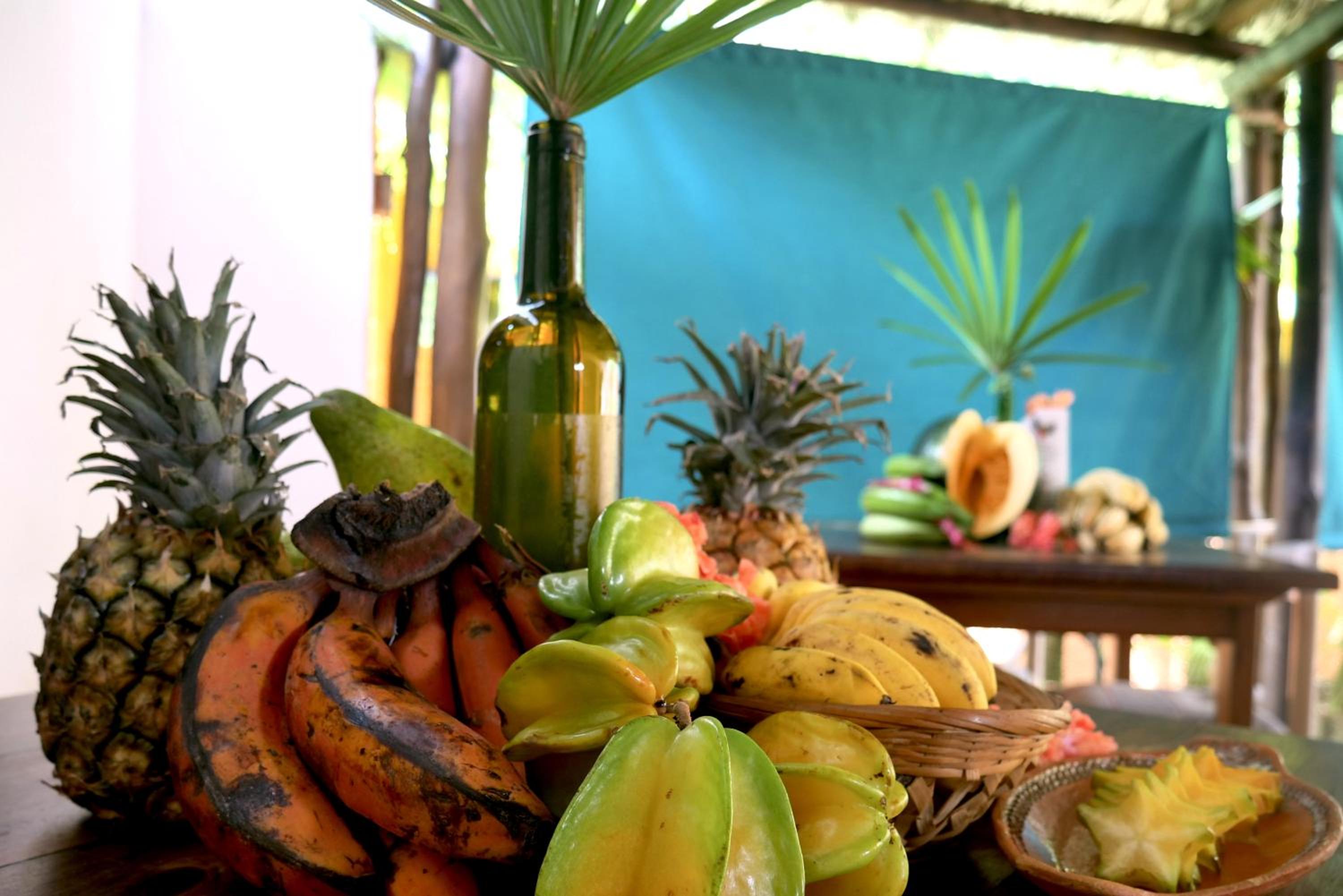 Posada Pittier