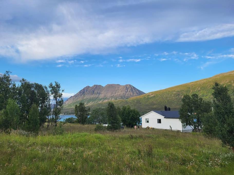 Idyllisk hus med sauna og jacuzzi, Lyngen view 2