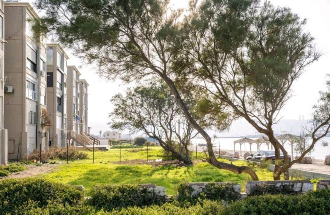 "One minute from sea" from Shneider Apartments view 2