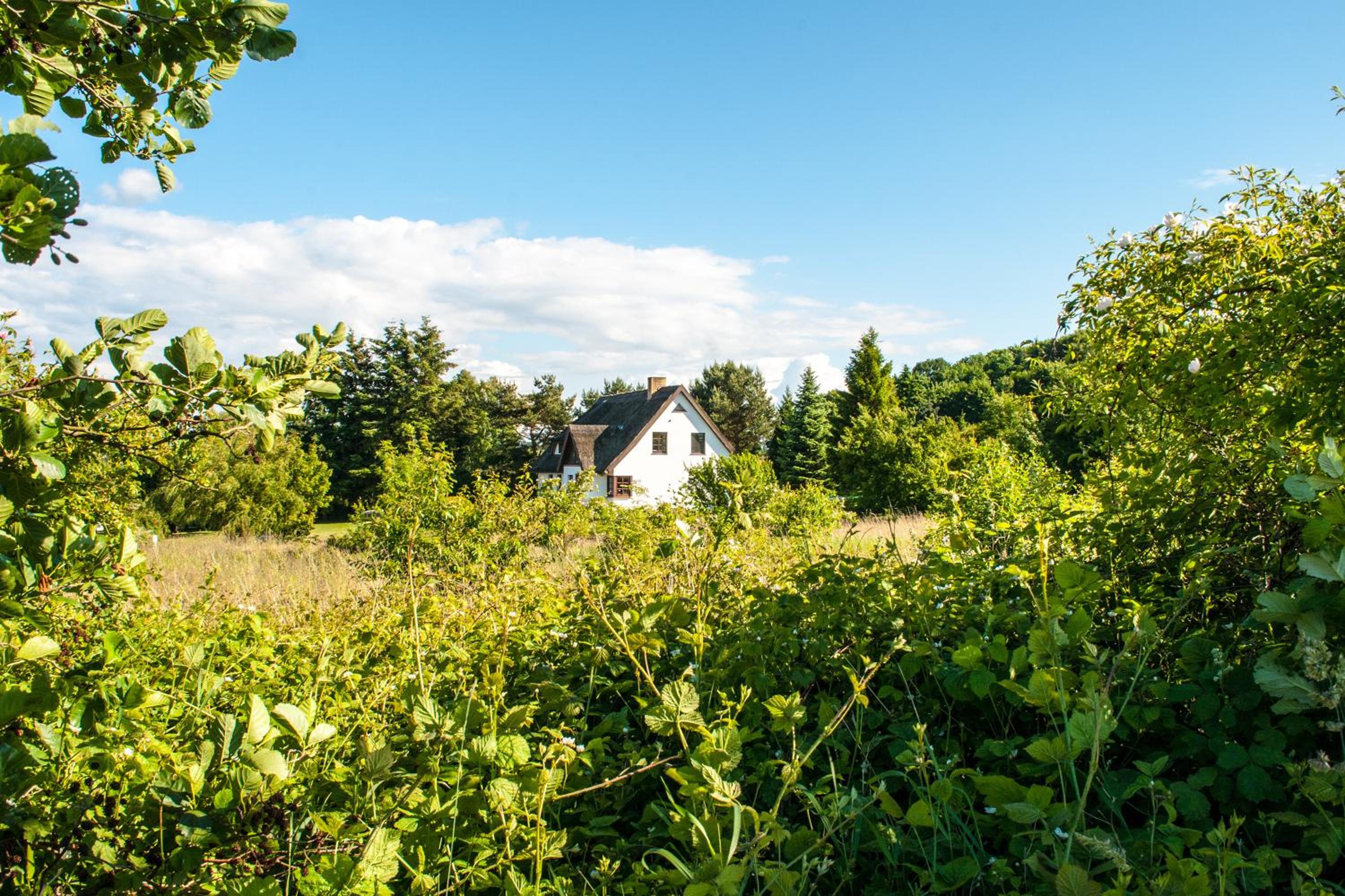 Dat Witte Hus Moritzdorf Rügen Ferienwohnungen - ruhige Lage