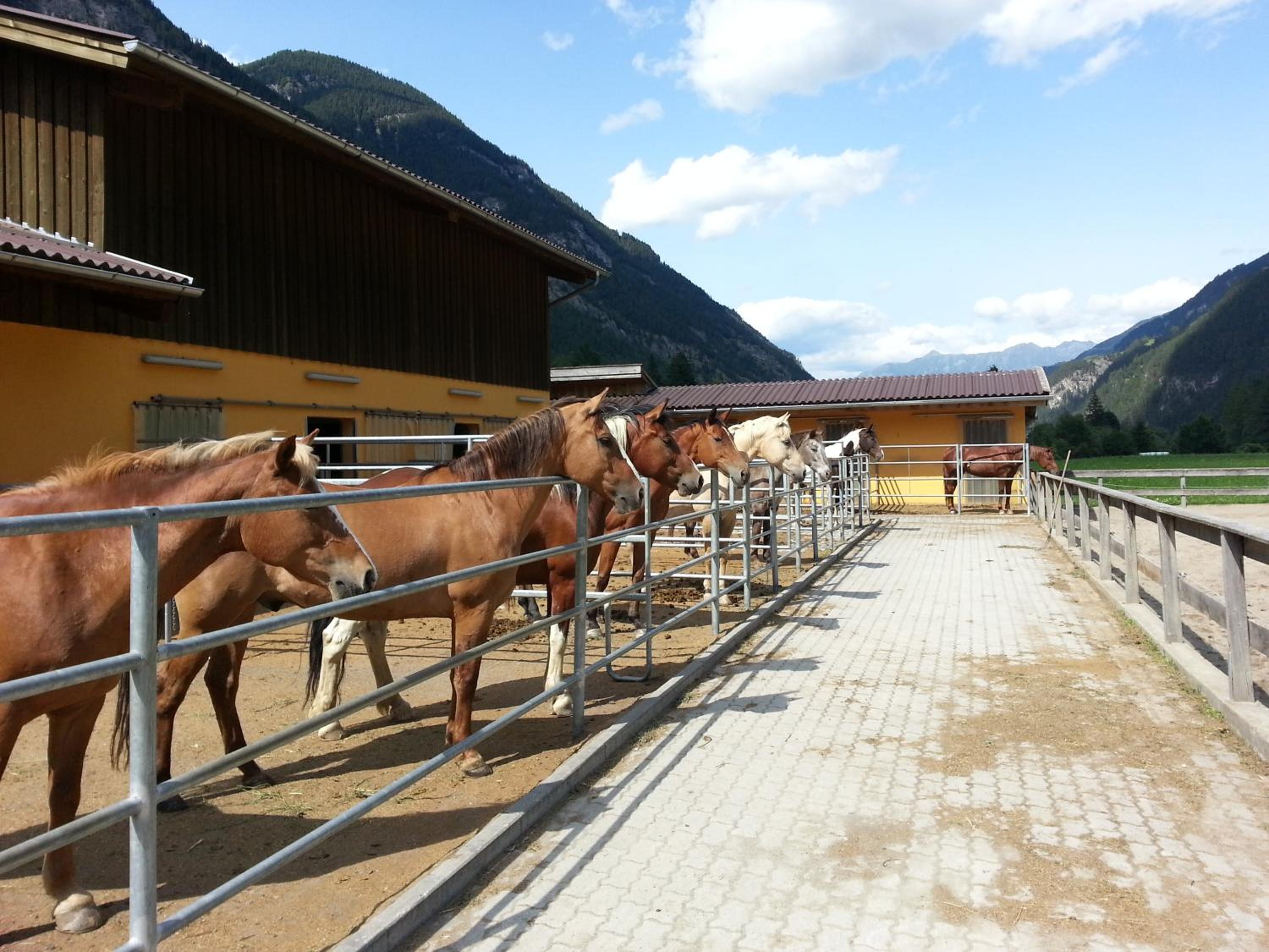Appart Collina