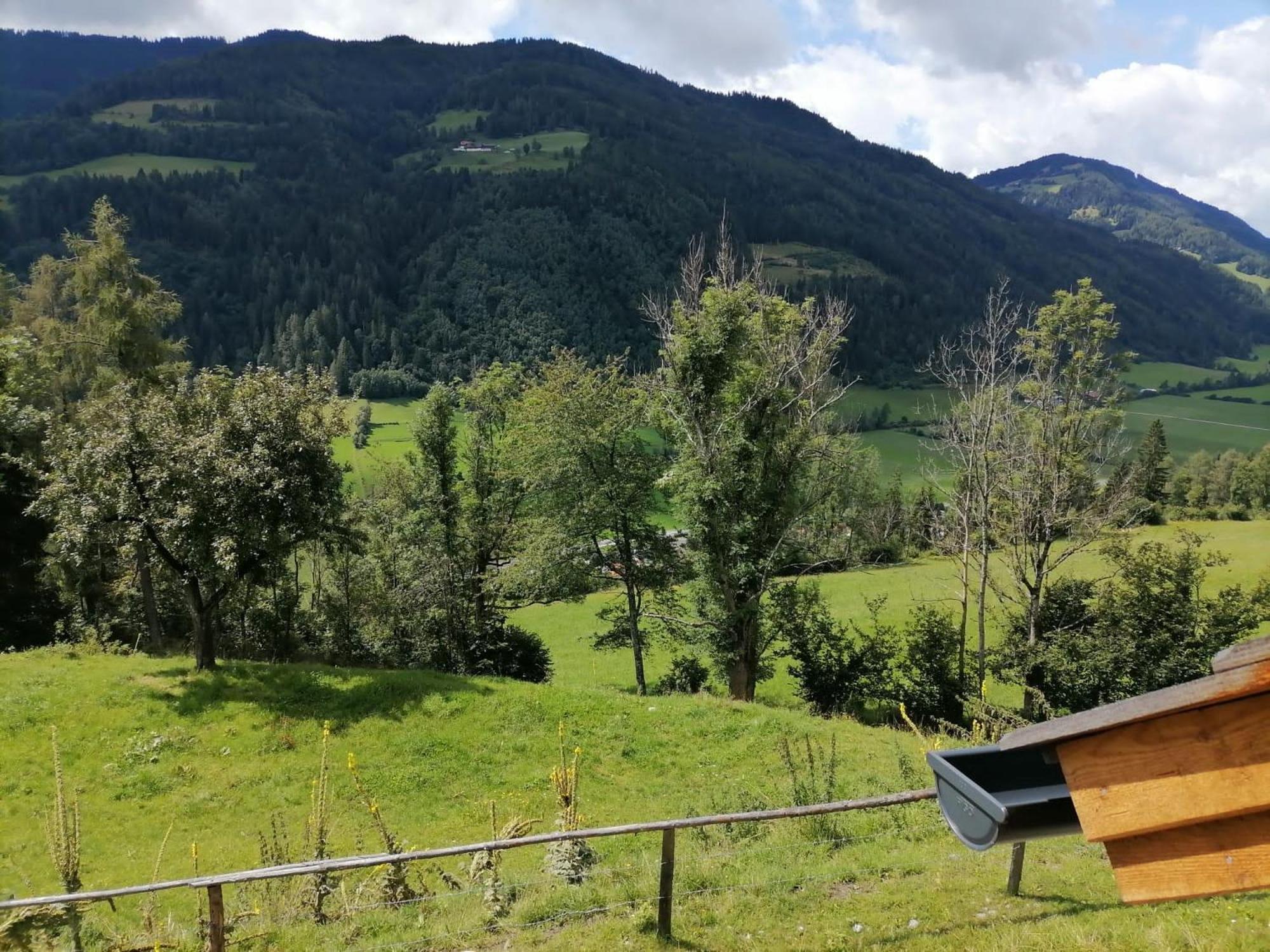 Lärchenhaus ,,Unterer Brodl