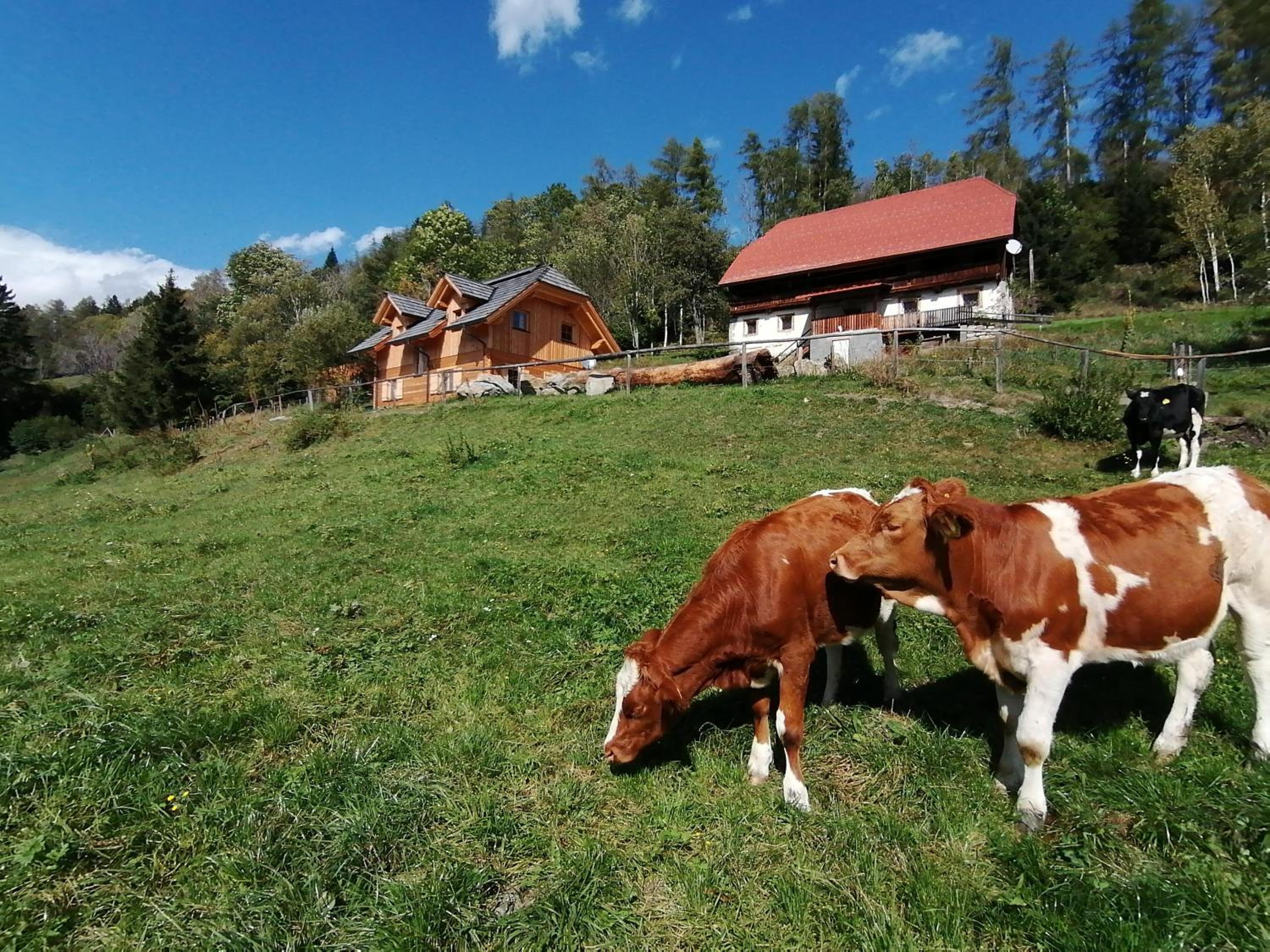 Lärchenhaus ,,Unterer Brodl