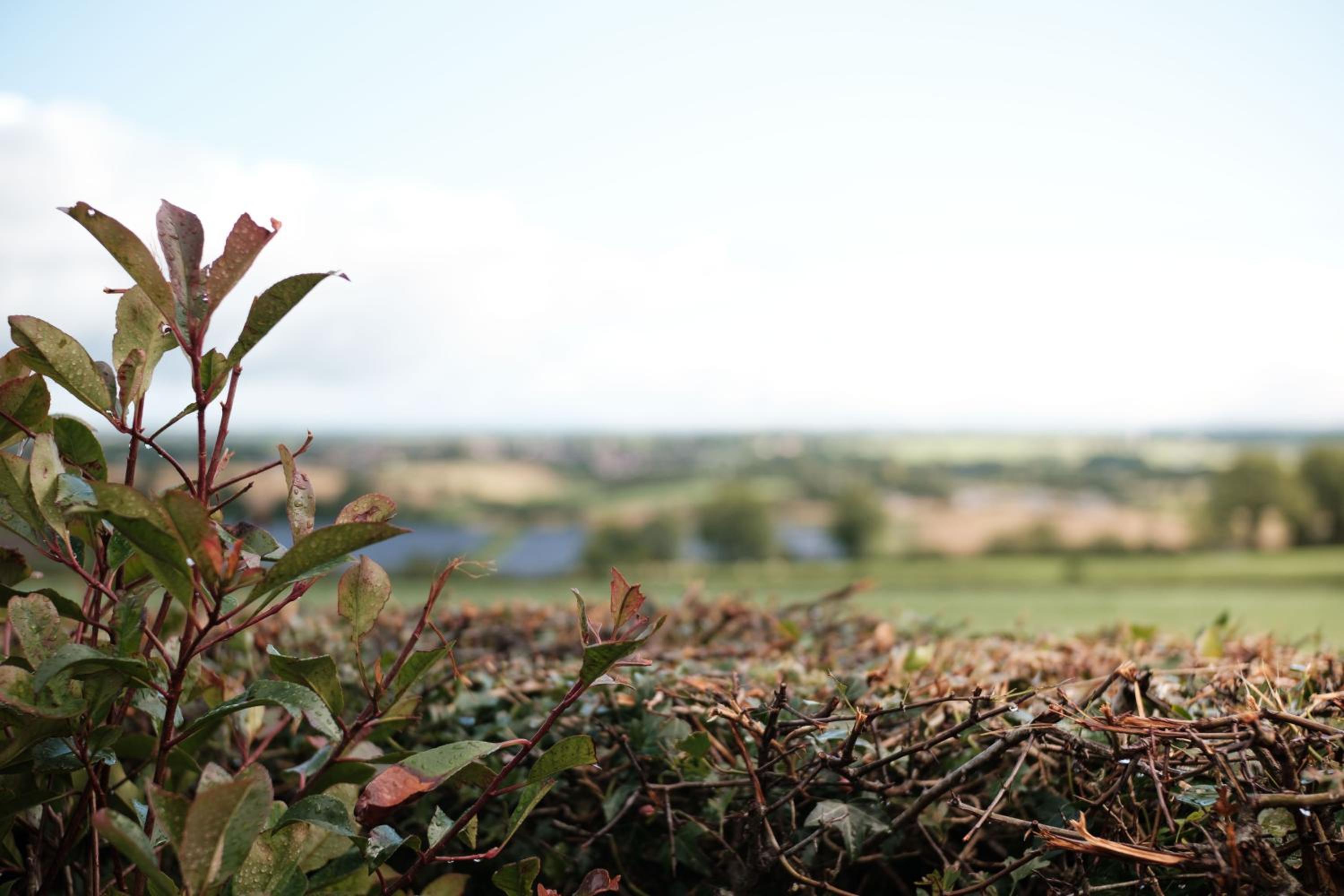 Drumnavaddy Cottage Banbridge, Dromore, County Down